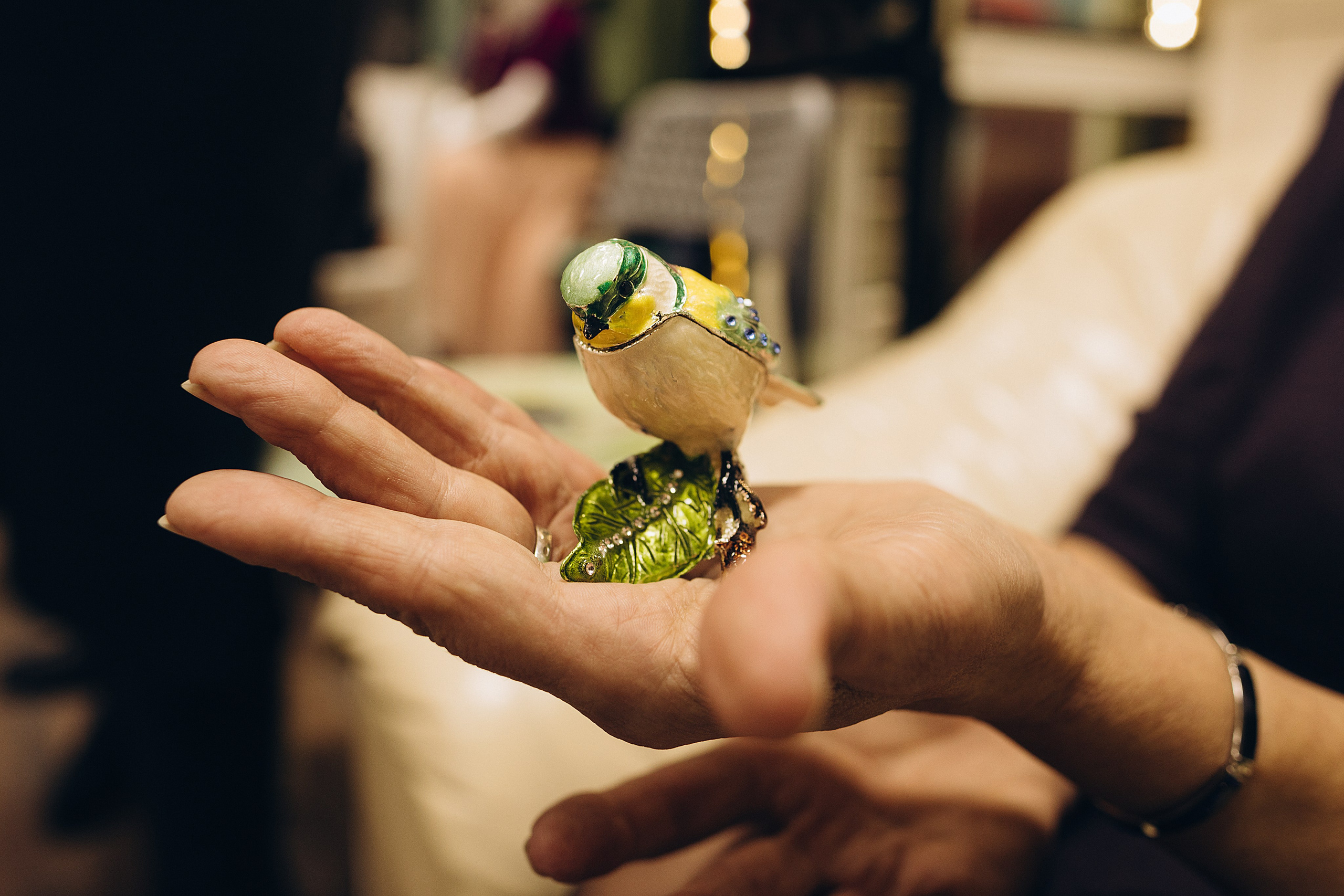 Тренинг. Встреча клуба, украшения. Портретный фотограф в Москве и МО Зимина Татьяна