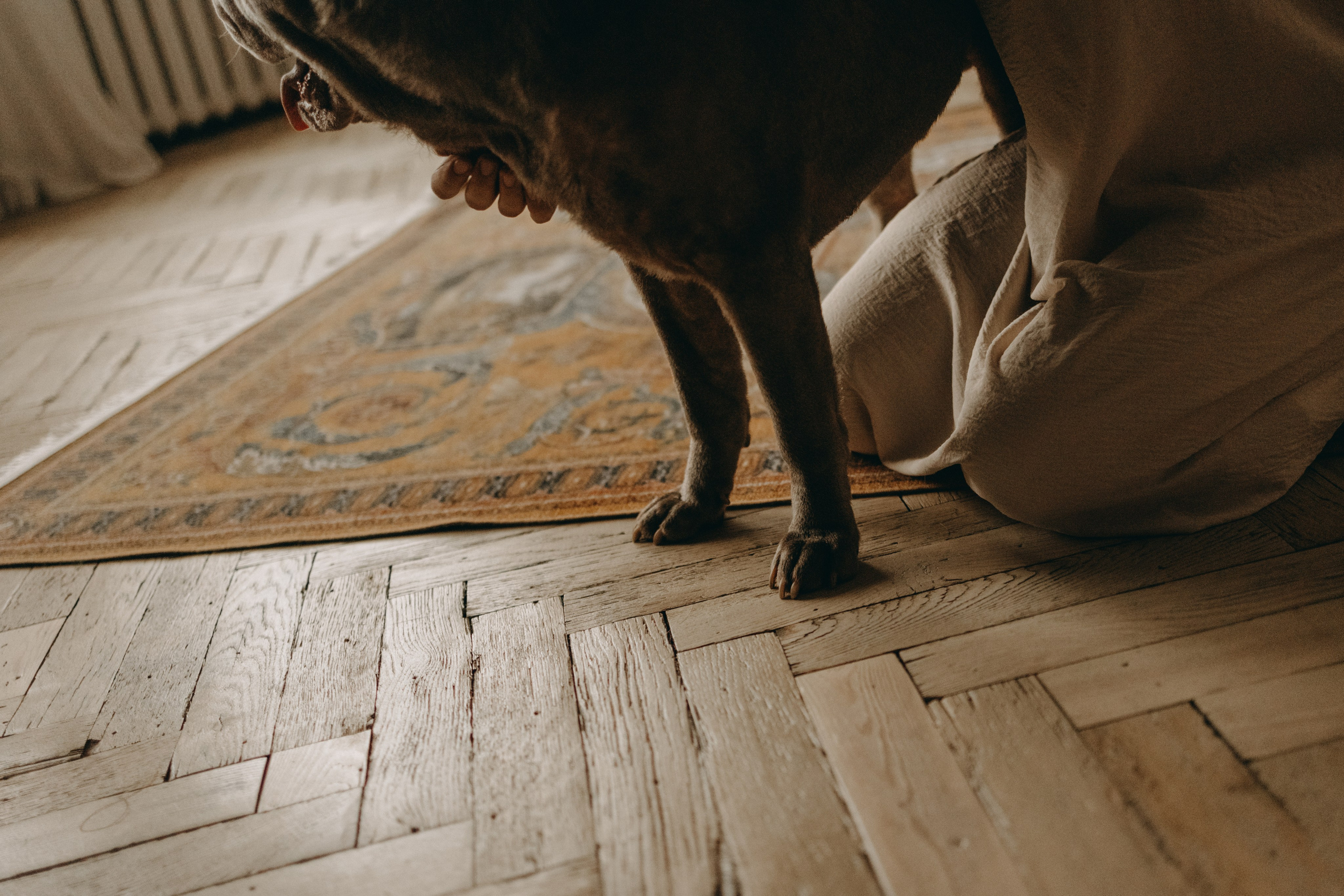 Ульяна и Вагнер. Фотограф — Анималист | Санкт-Петербург