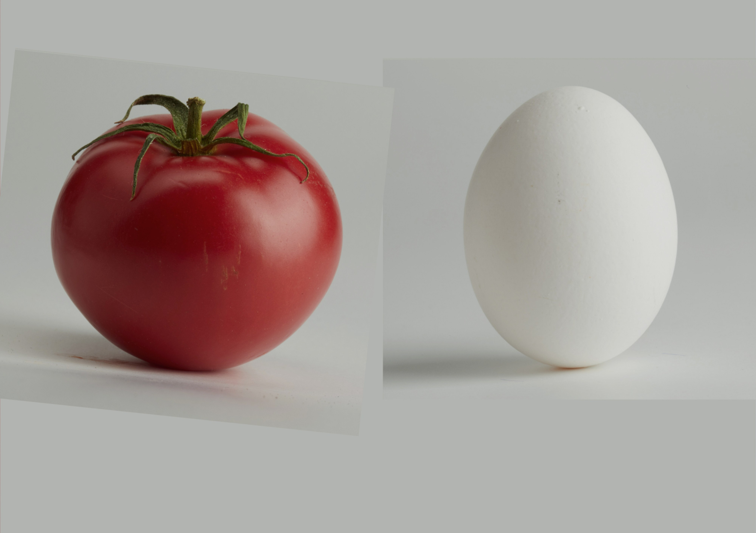 BEFORE/AFTER. ArtistSOS