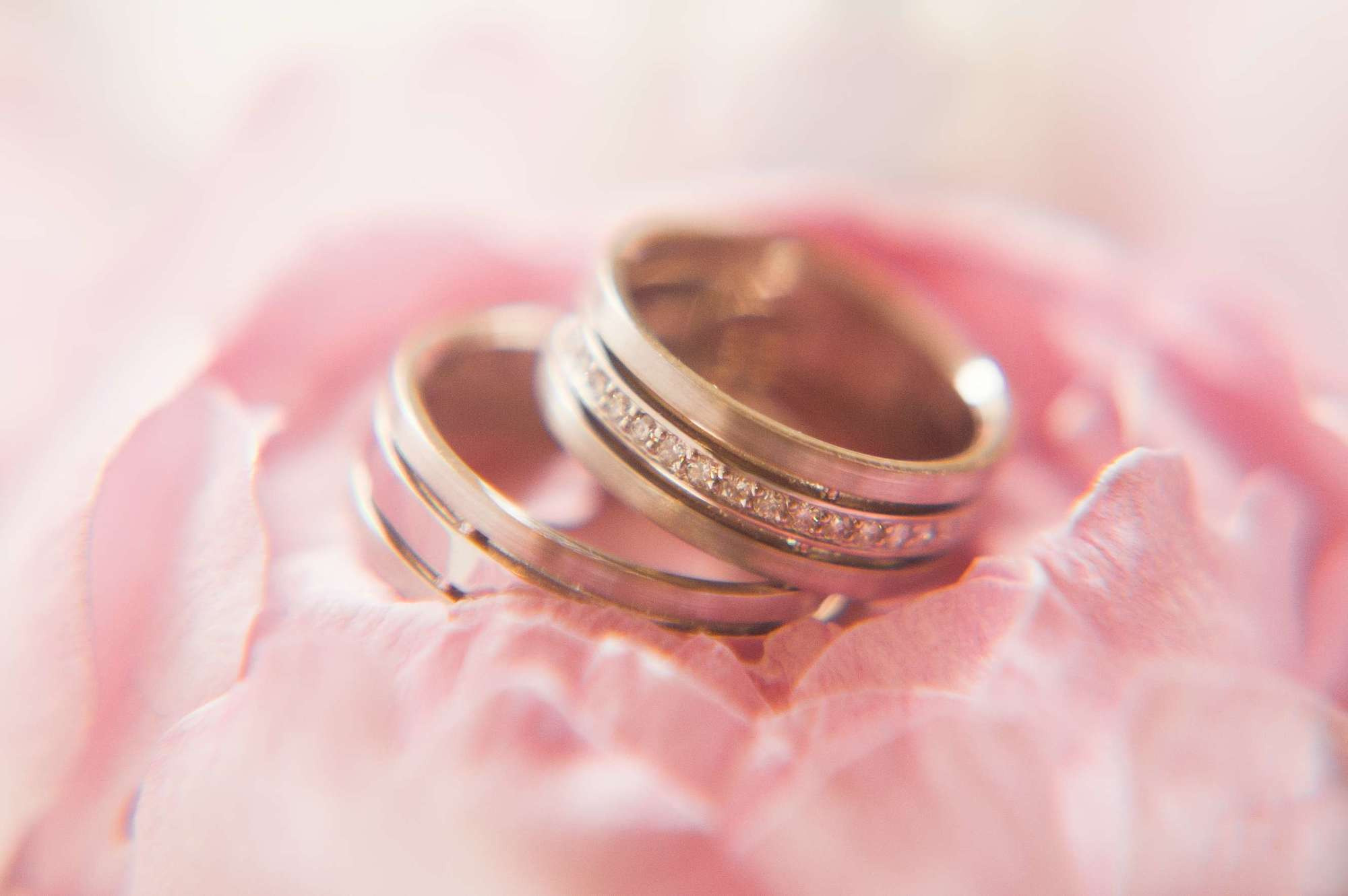 Виктория и Артем. Профессиональный фотограф в Москве Александра Харламова