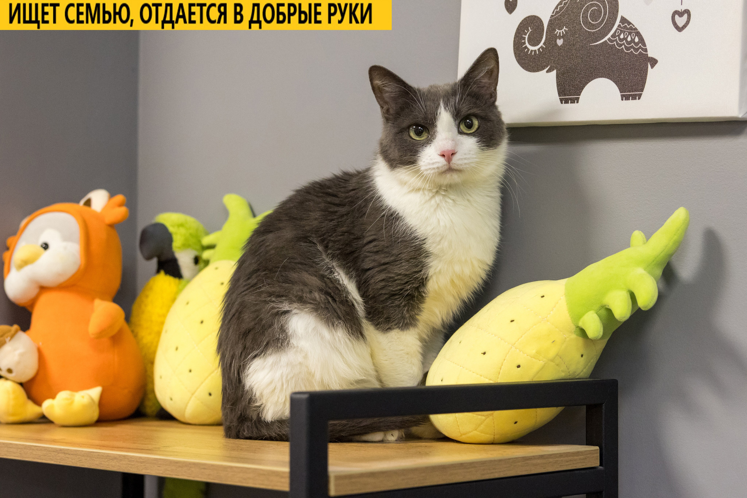 Рекламная съемка в Москве. Геннадий Степанов —фотограф в Москве
