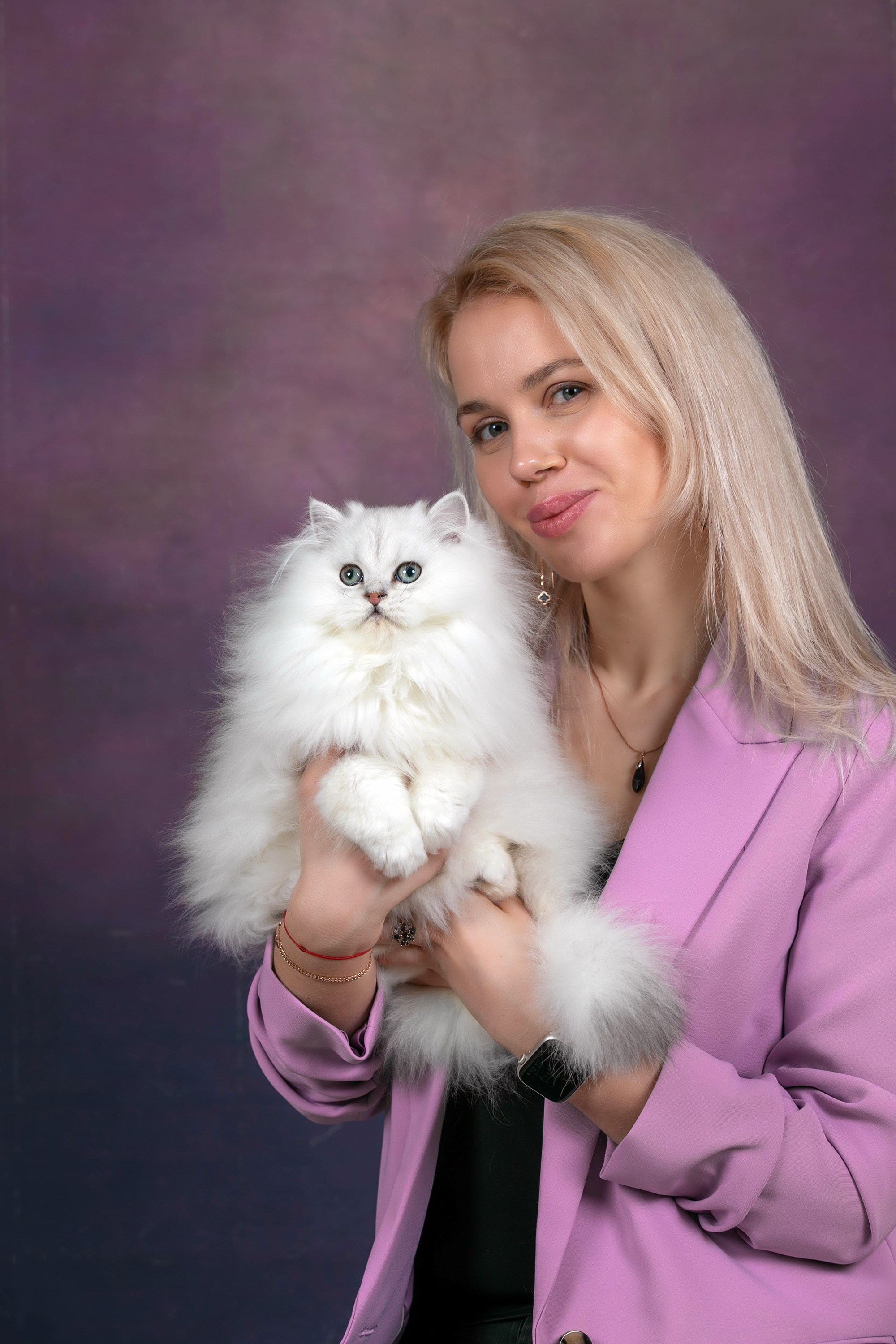 Стендовая съёмка на выставках кошек. Фотограф-анималист в Омске Екатерина Маричева