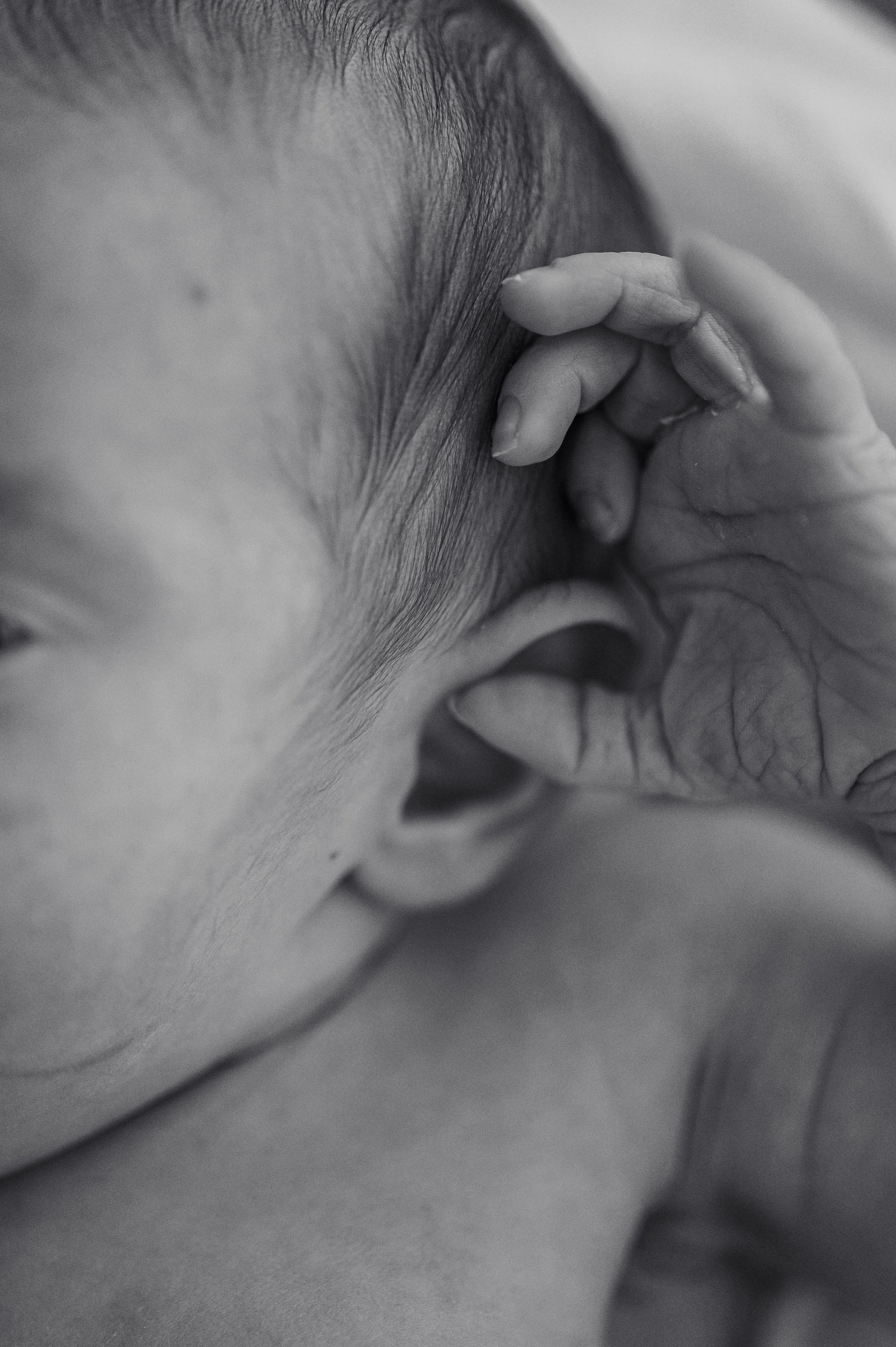 Выписка Алисии МД Лахта. Фотограф на роды СПБ Юлия Герасимова