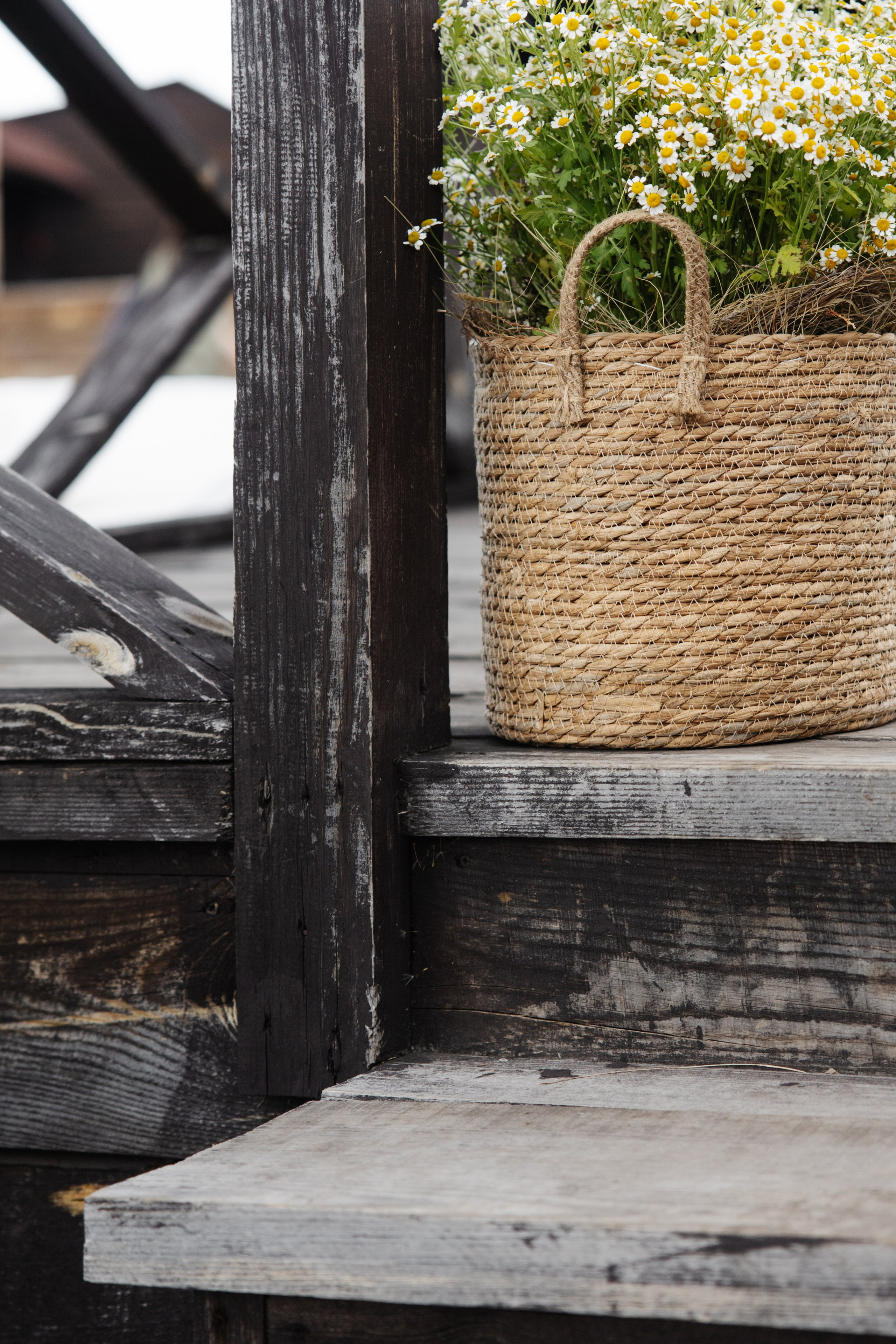 ГЕНДЕР ПАТИ. Фотограф в Красноярске