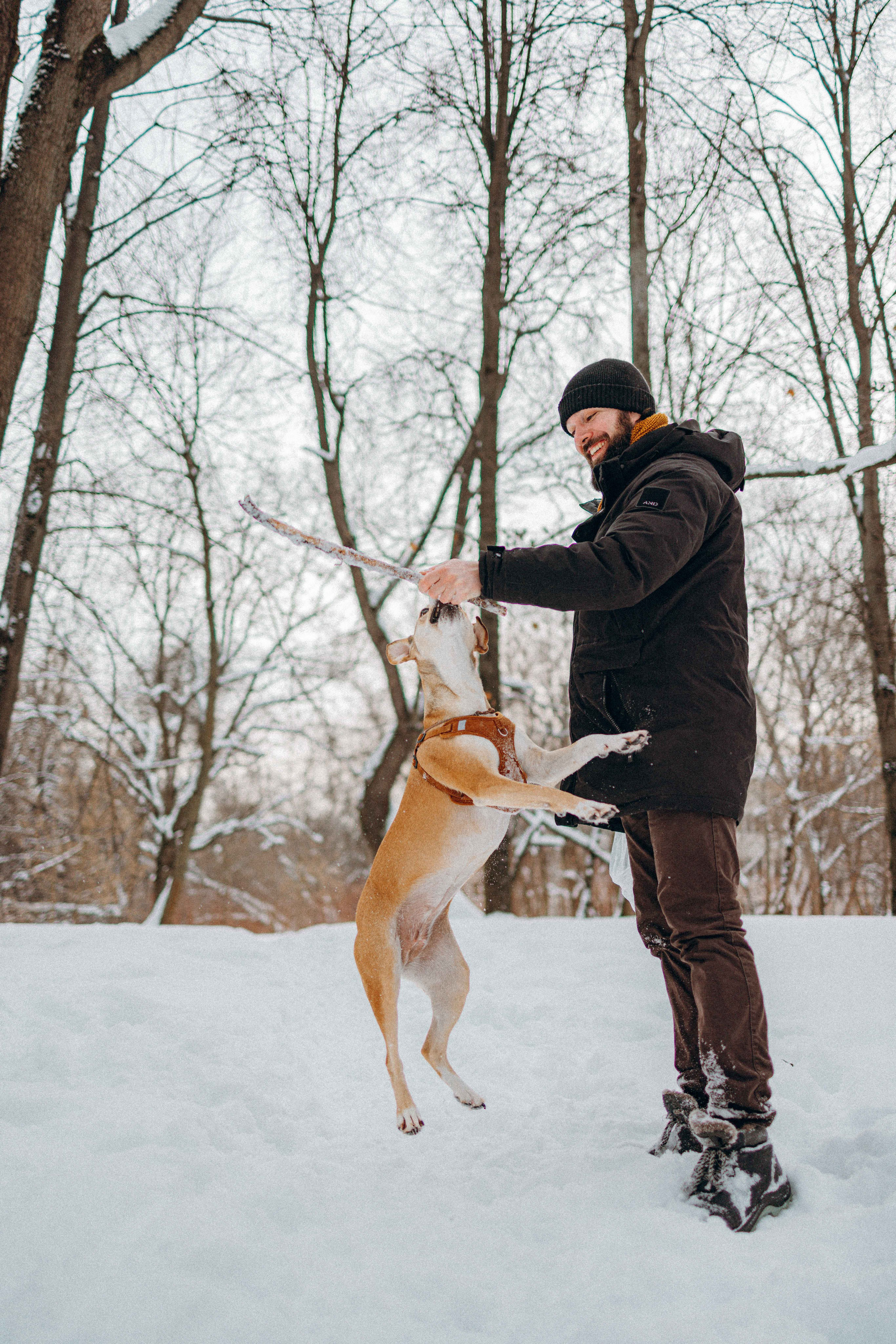 Свобода и ее семья. Фотограф-анималист в Москве Лера Черноног