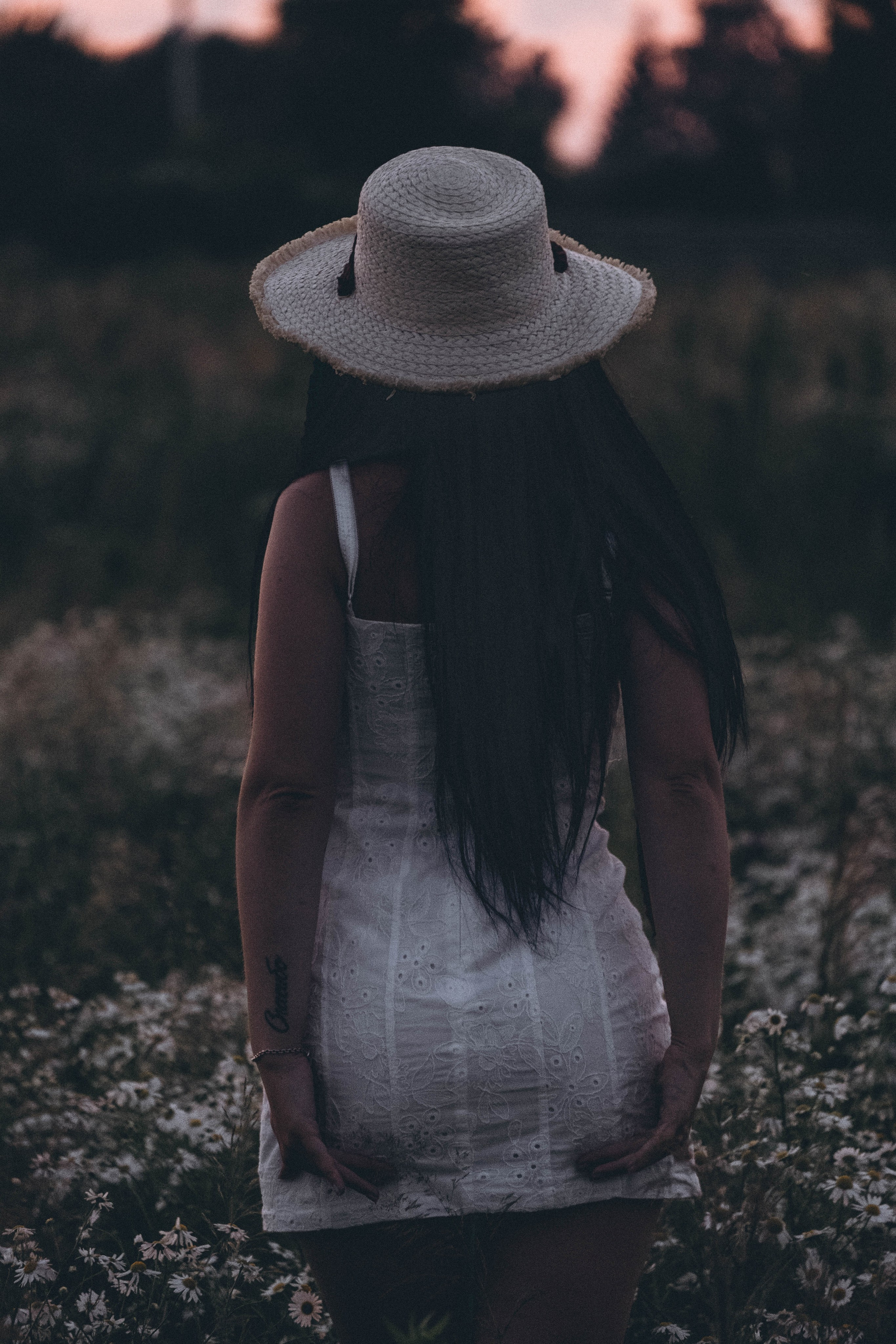 Ромашковое поле. Профессиональный фотограф, Санкт-Петербург — Виктория Богомолова