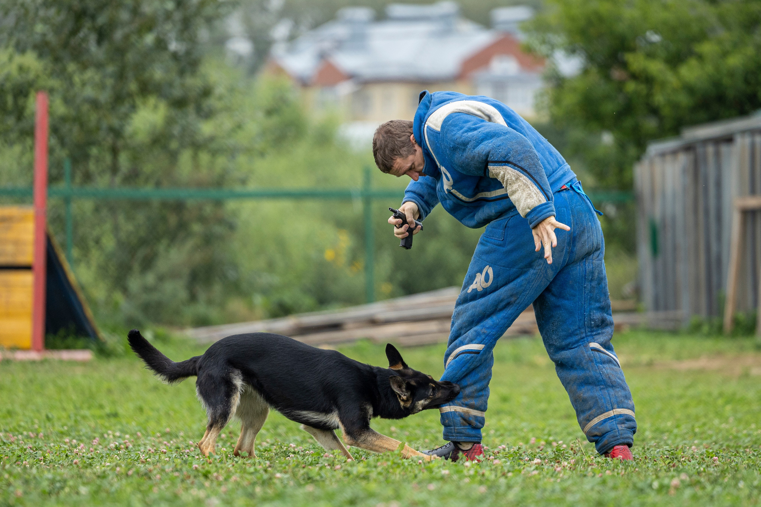 Соревнования по Мондьорингу г. Вологда 10-11.08.2024. Фотограф-анималист Анна Маринич