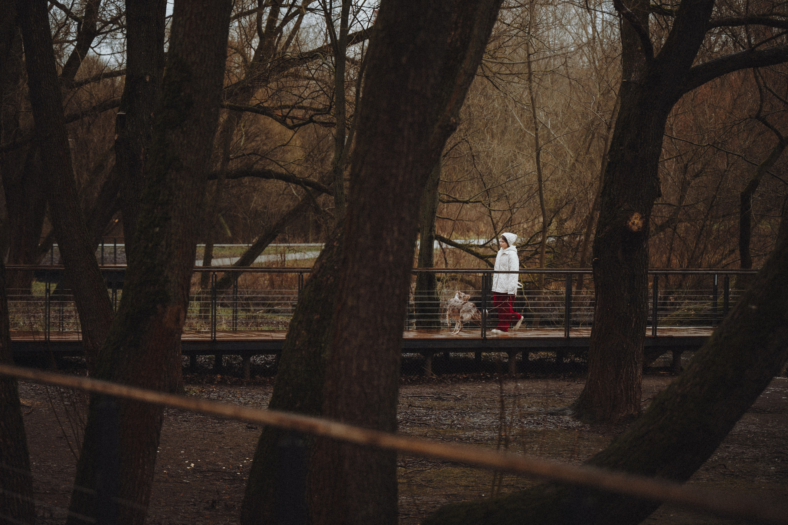 Стоимость. Семейный фотограф анималист Ананьева Мария — Москва
