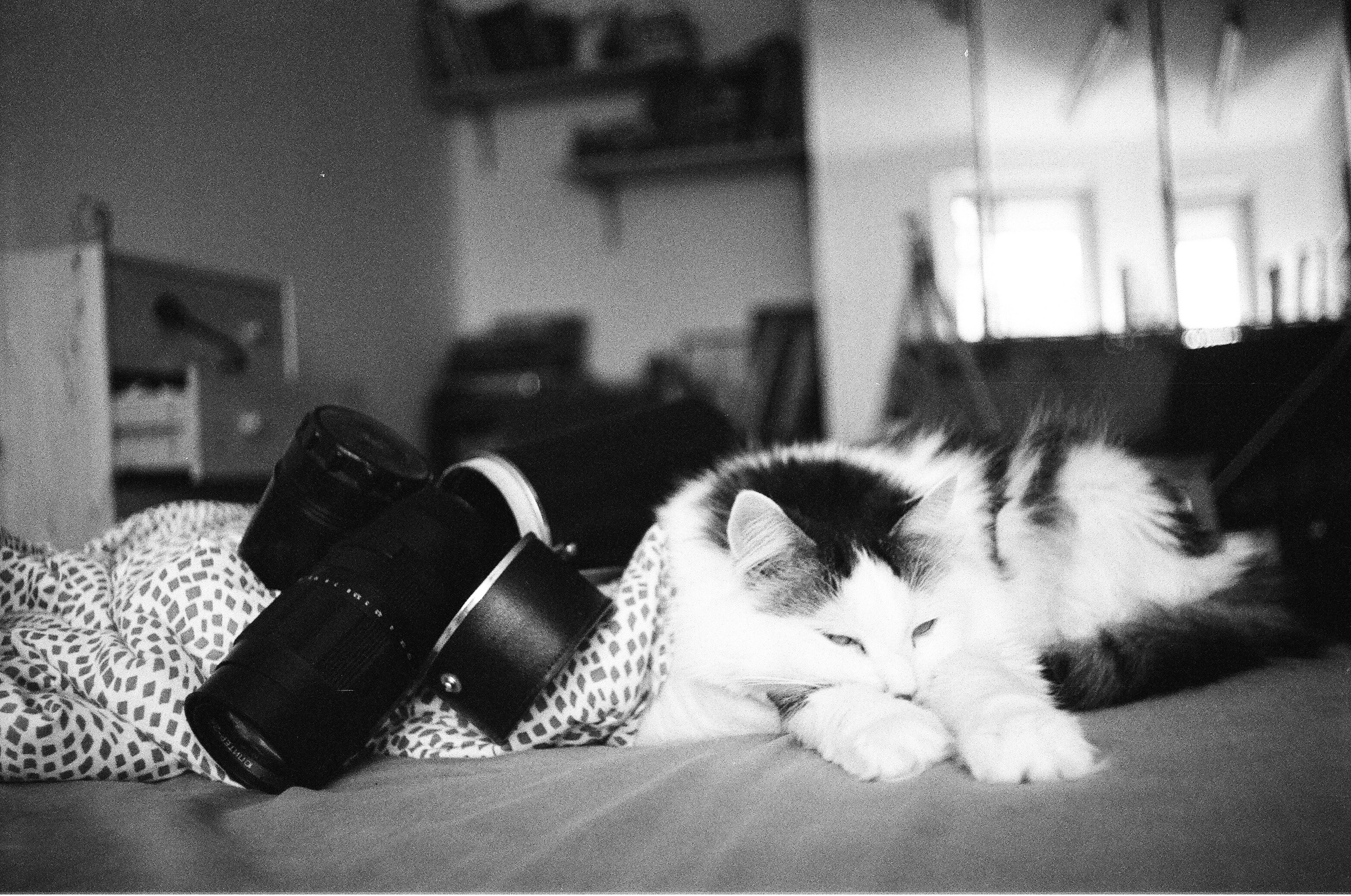 Люди. Фотограф — Маслеников Константин