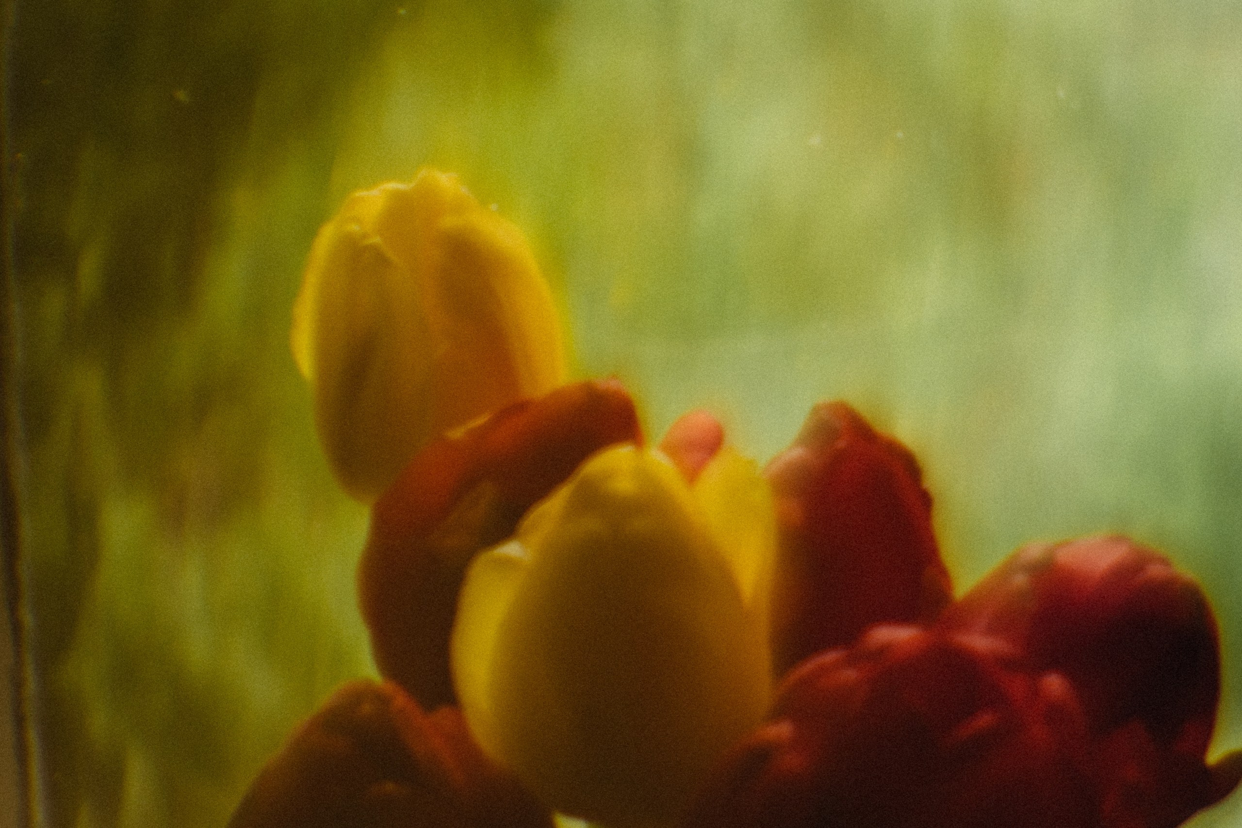 Пикториальный альбом. Семейный LIFESTYLE фотограф в Москве