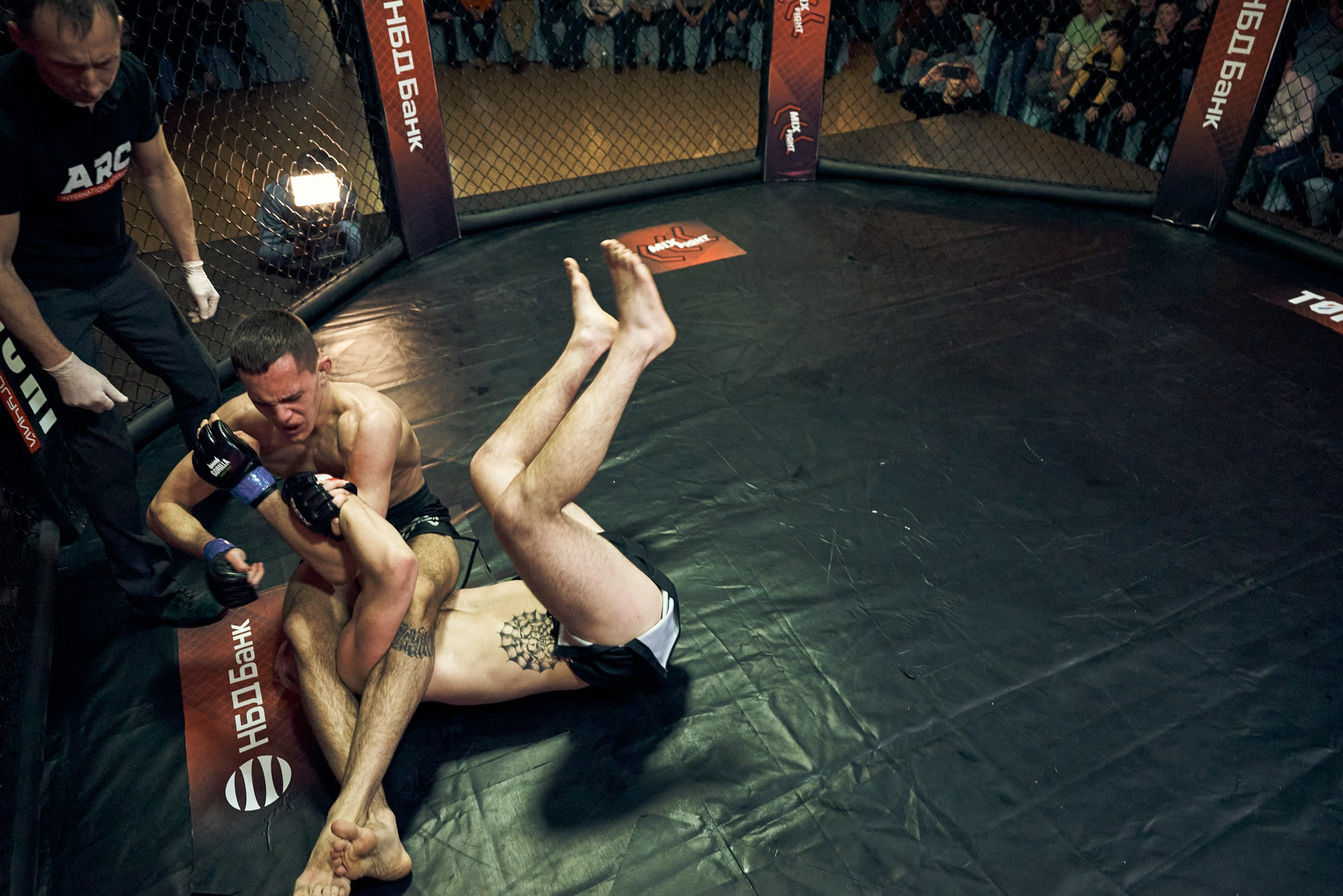 Бои. Маляревич Дмитрий свадебный фотограф