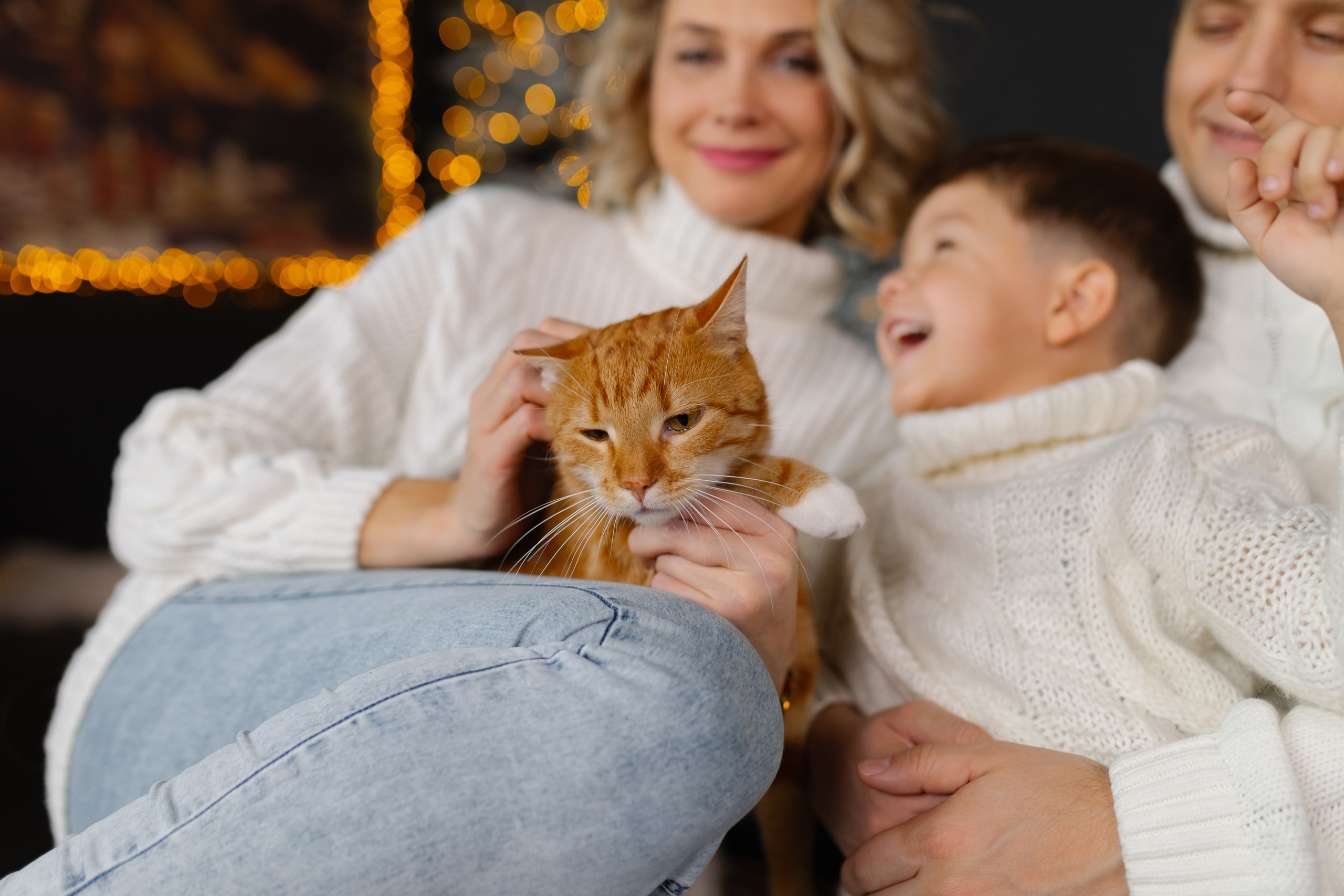 Семейная новогодняя съемка. Свадебный фотограф в Минске/Беларуси Сергей Спиридонов