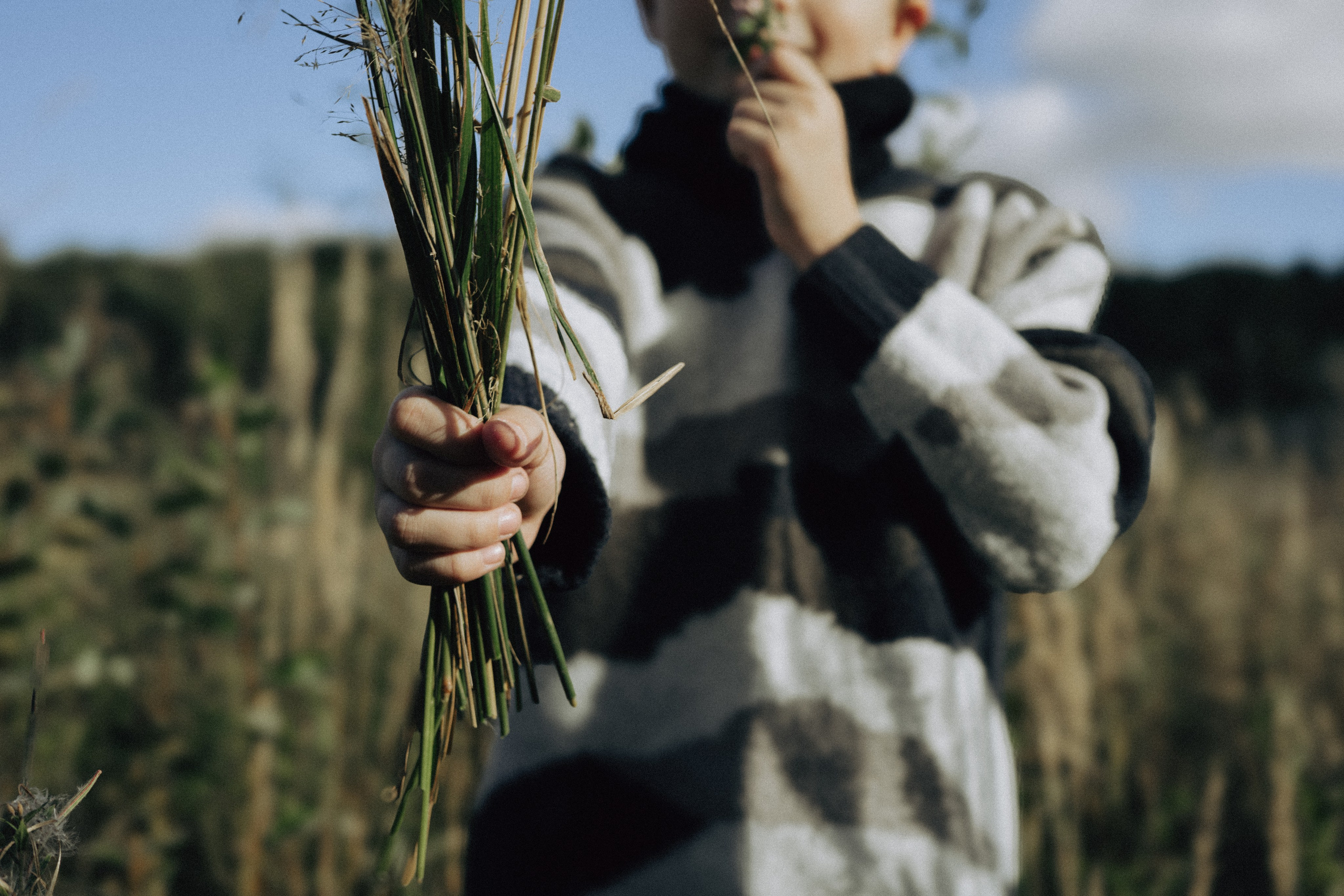 В начале осени…