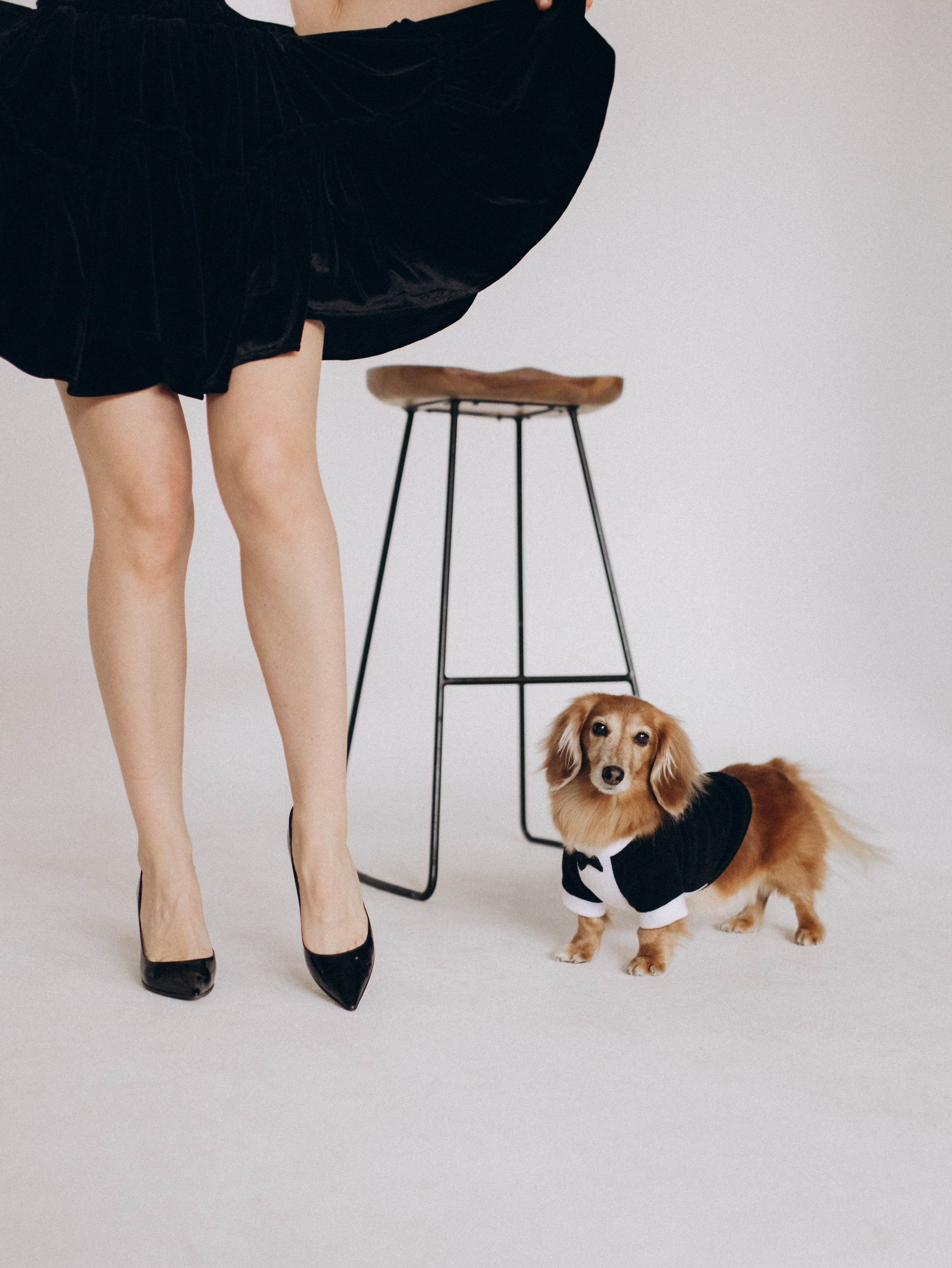 Лимон и Аня. Фотограф-анималист в Москве Кириллова Татьяна