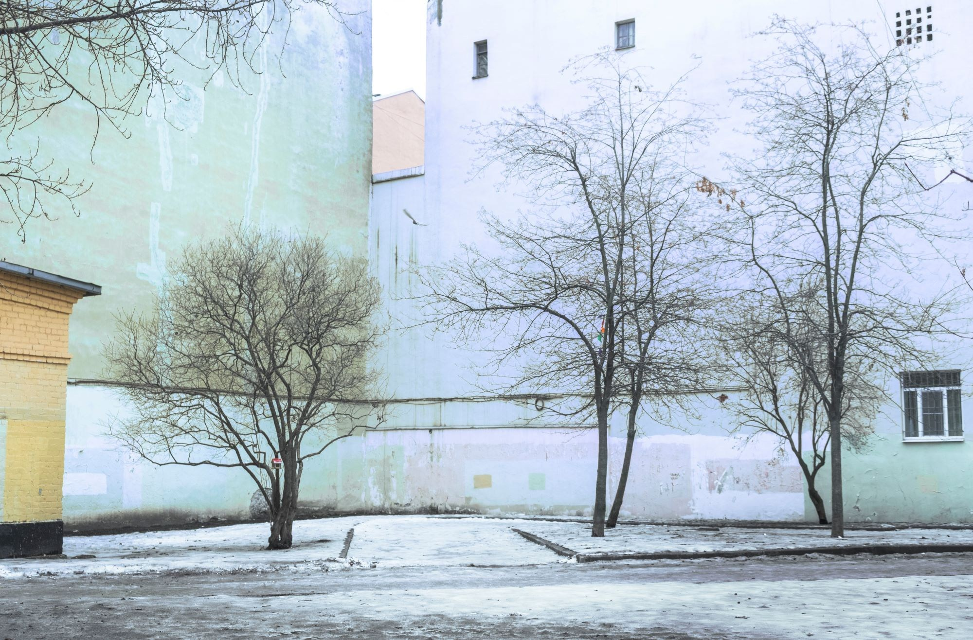 Vetvi. Коллекция