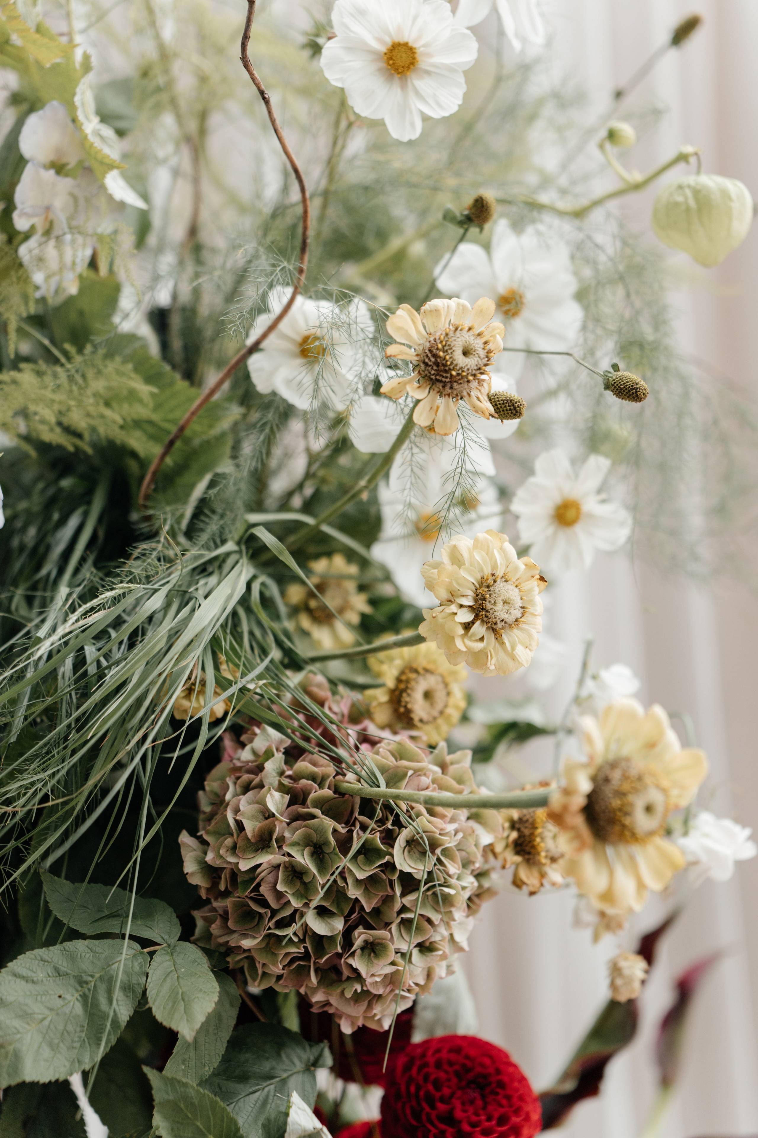 DENIS & MARIA. Свадебное ФОТО & ВИДЕО Москва/Липецк
