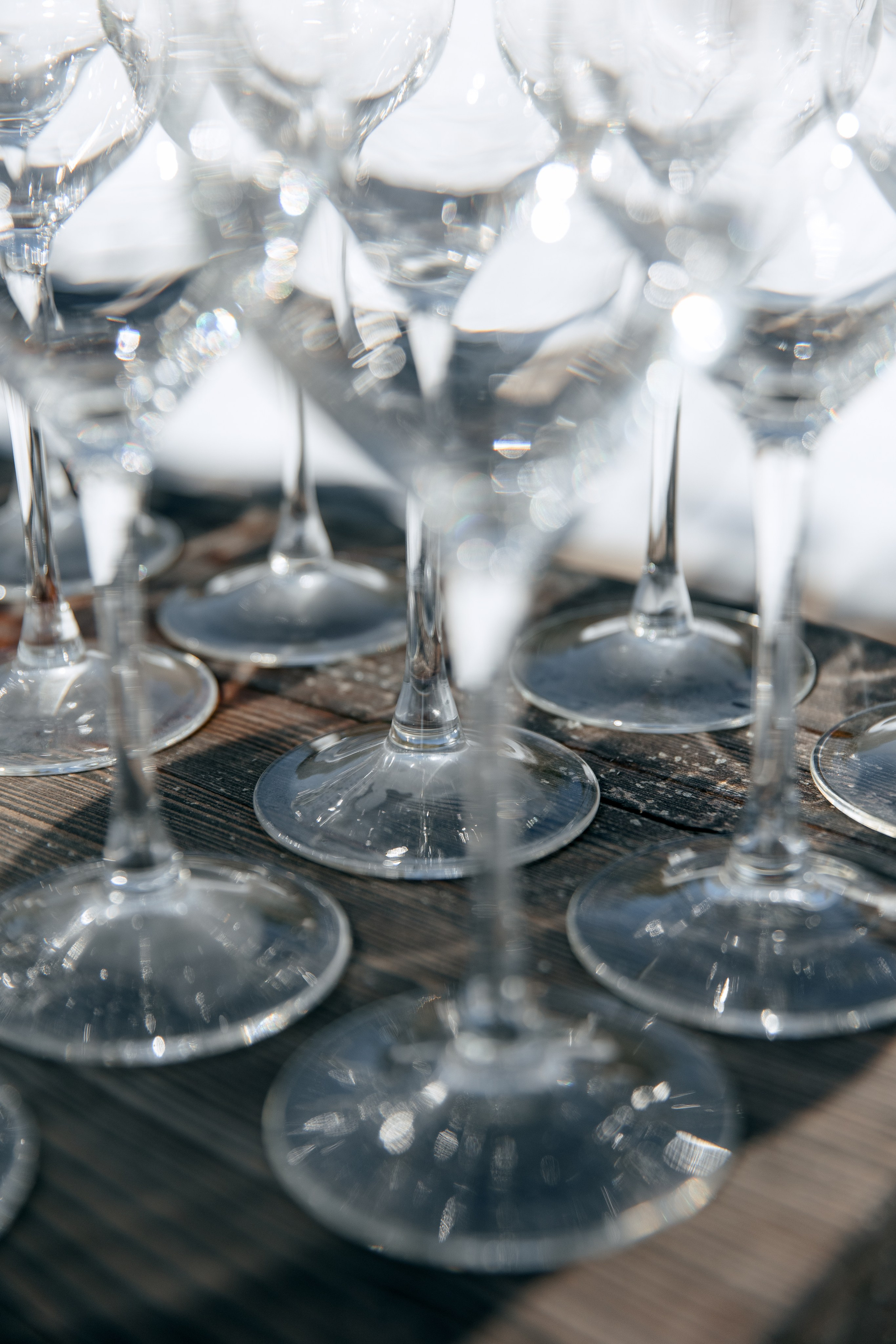 ДЕНЬ ДОЖДЕНИЯ ЕКАТЕРИНЫ. Фотограф в Красноярске