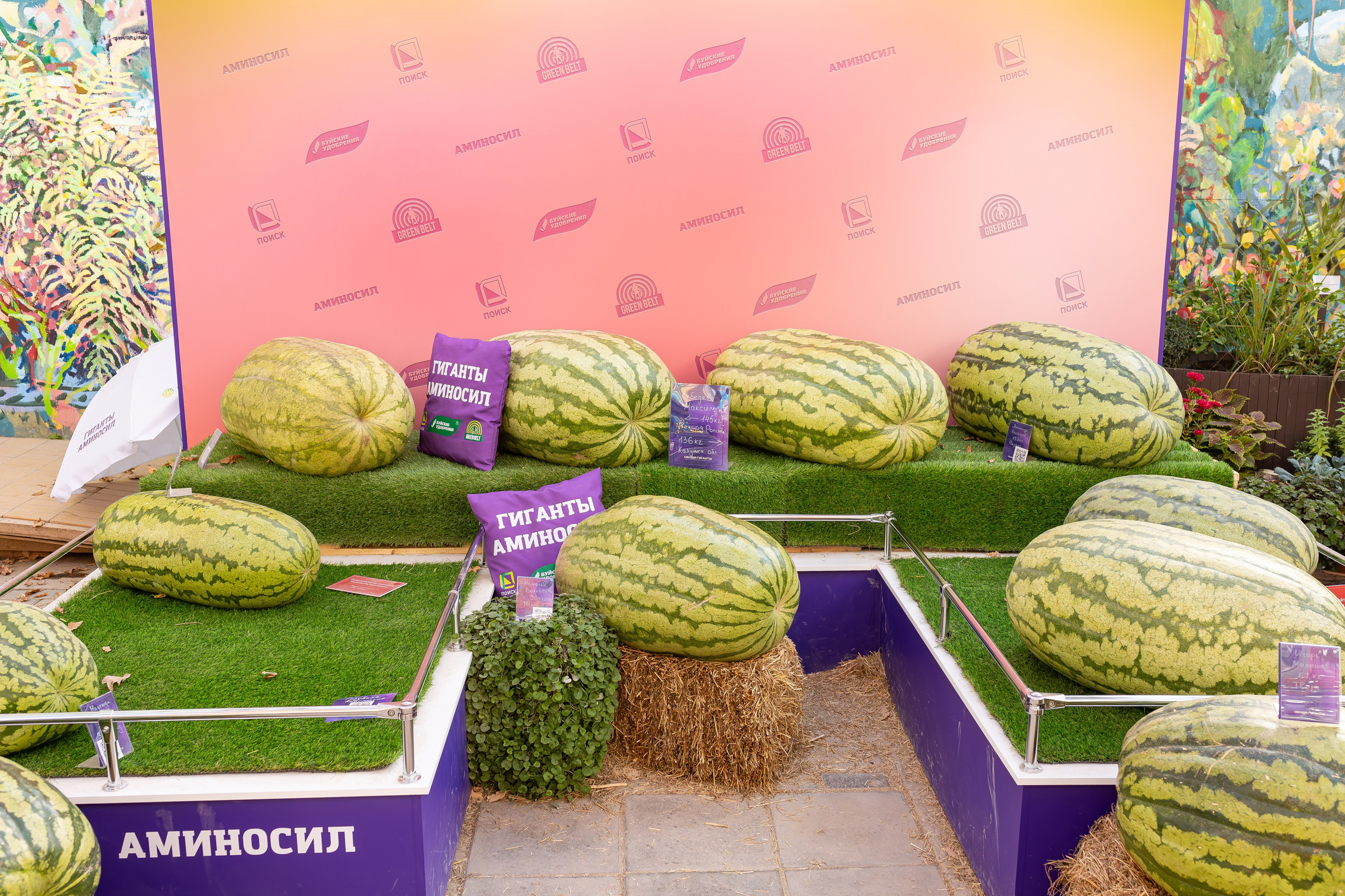 Овощи-гиганты. Александра Куликова фотограф, Москва