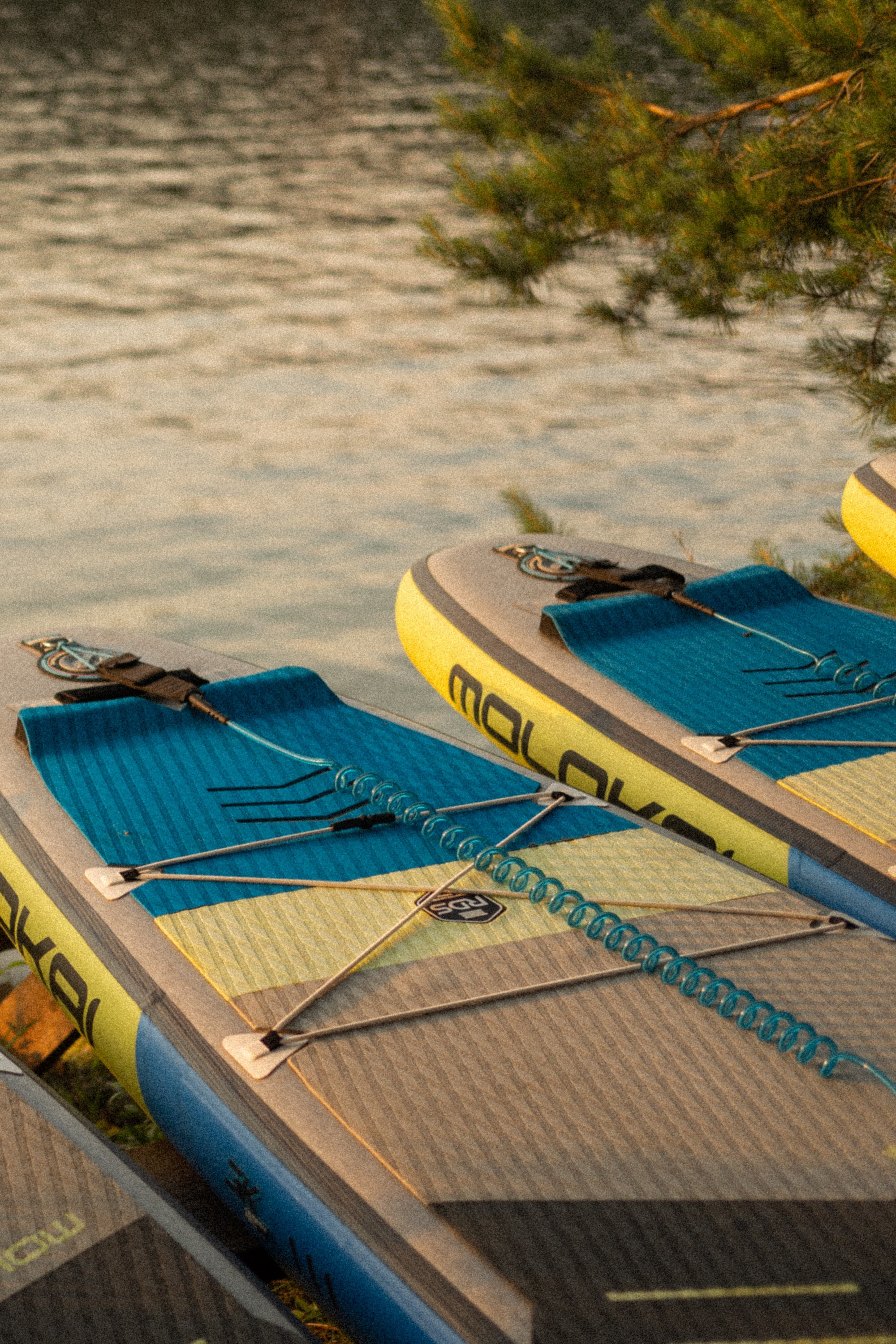 Бирюса 2025. Детали. Фотограф Кощеева Дарья