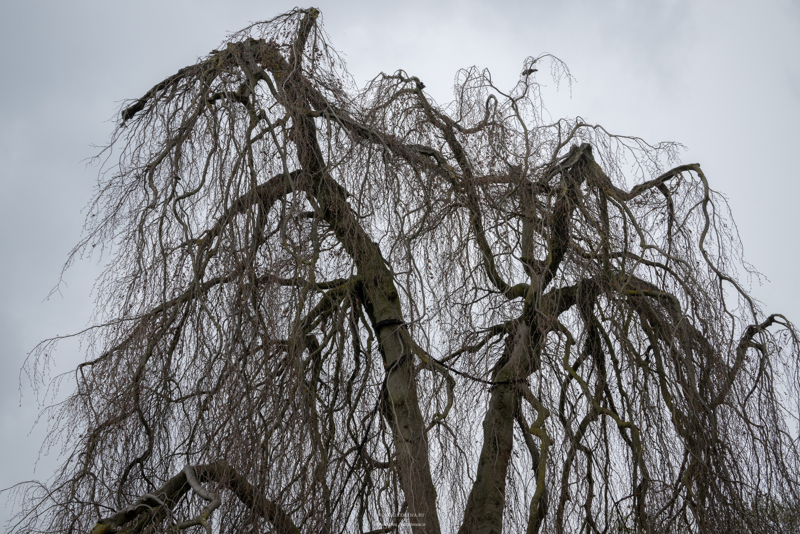 Эйндховен, городские зарисовки. Авторские стильные фотокартины