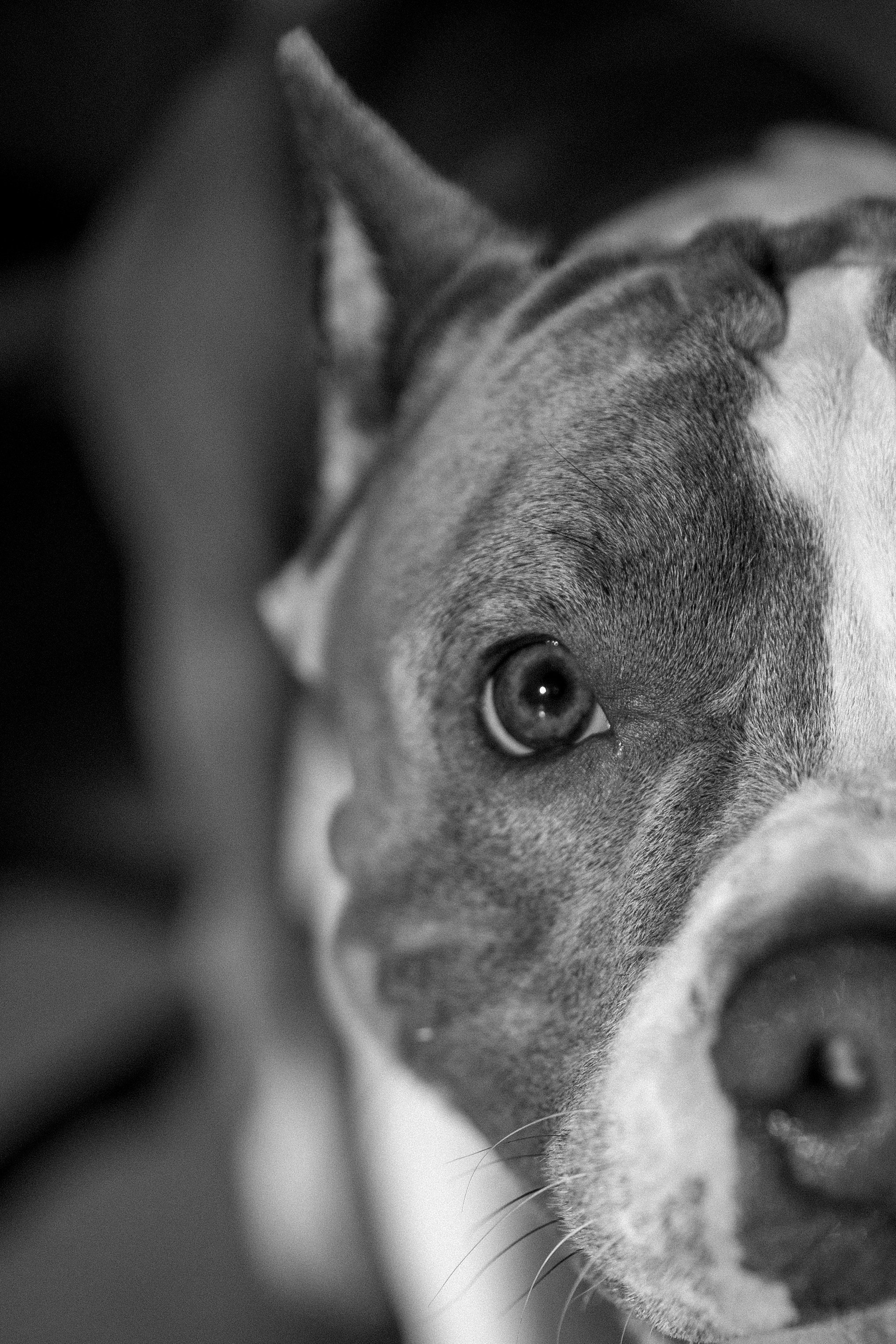 Саша и Кракен. Фотограф — Анималист | Санкт-Петербург