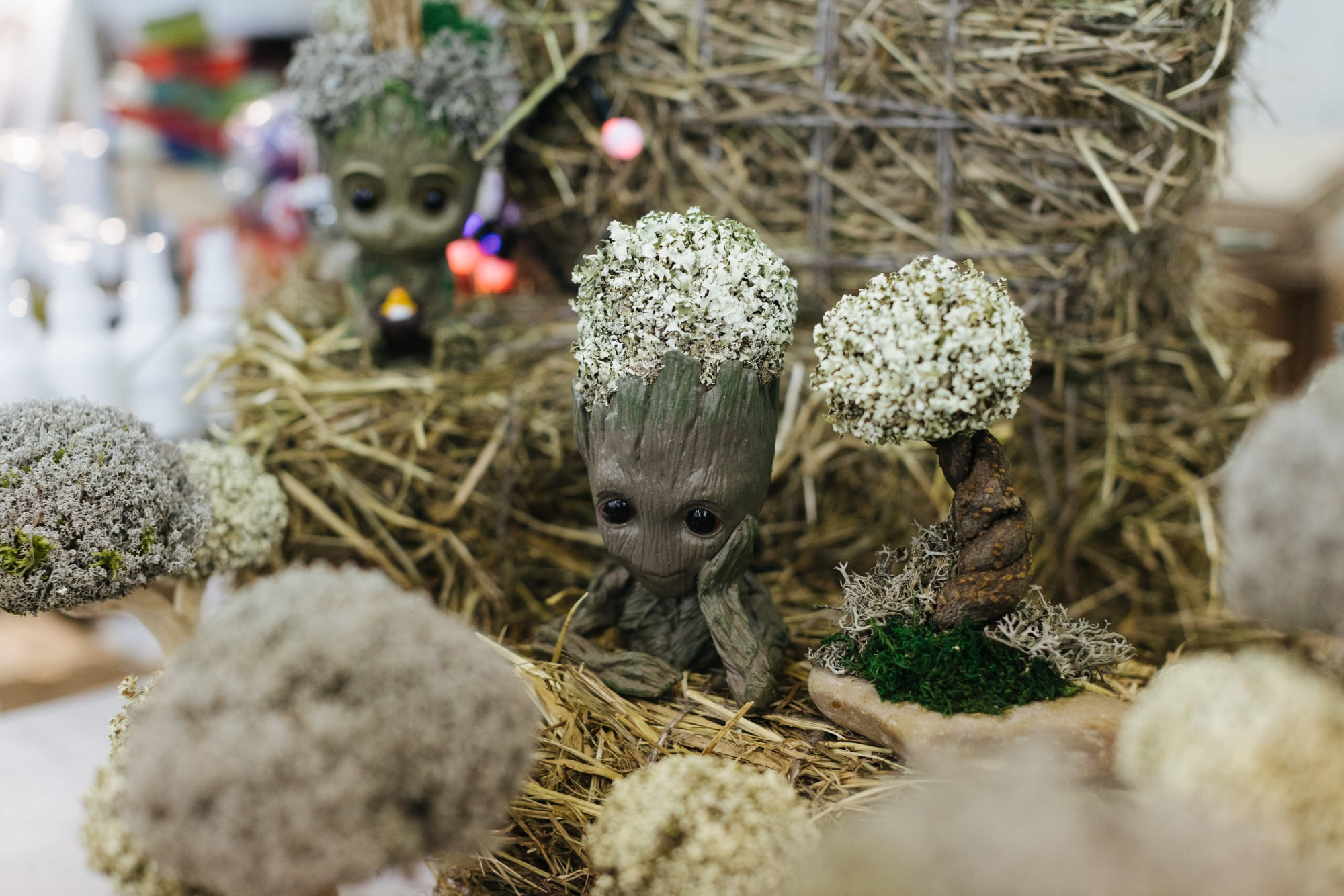 25–26 декабря 2021 на Трёхгорной мануфактуре. Фотоотчеты «Ламбада-маркета»