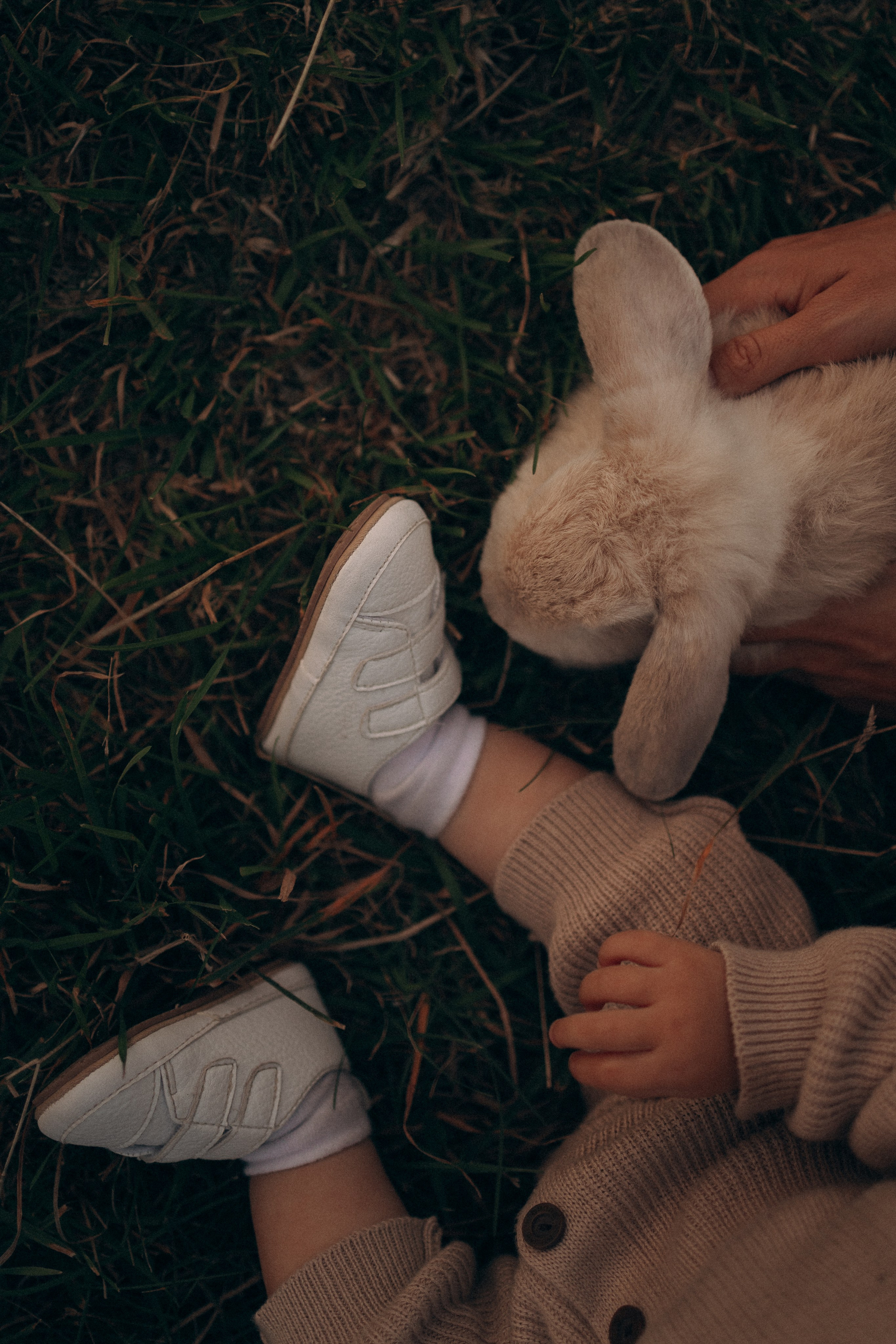 Семейная. Фотораф — анималист Мария Шистка