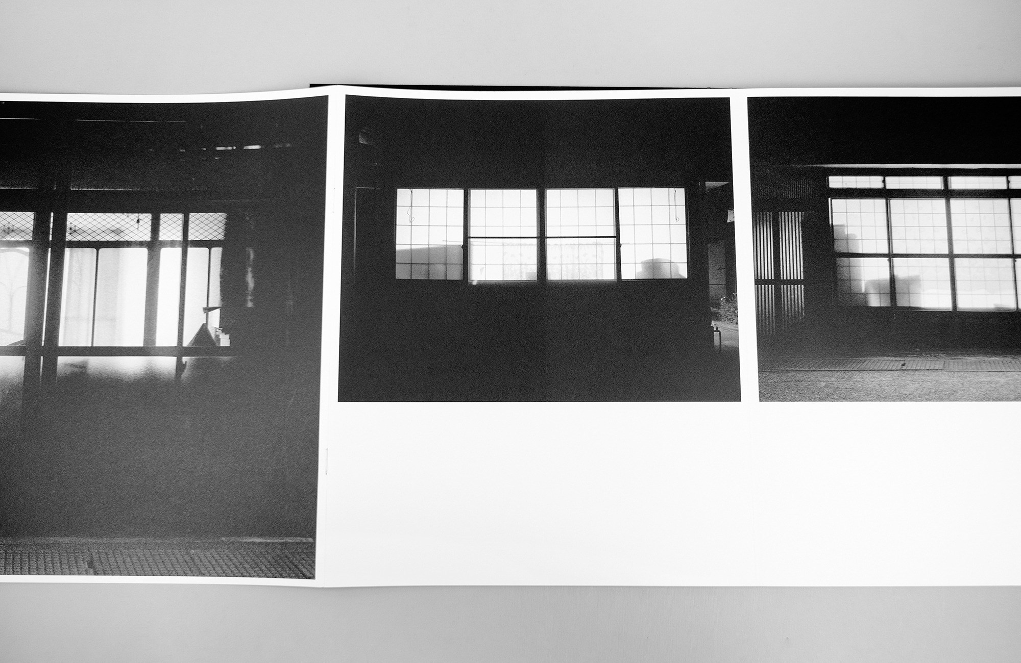 Как форма книги может влиять на концепт?. Самоорганизация Низина