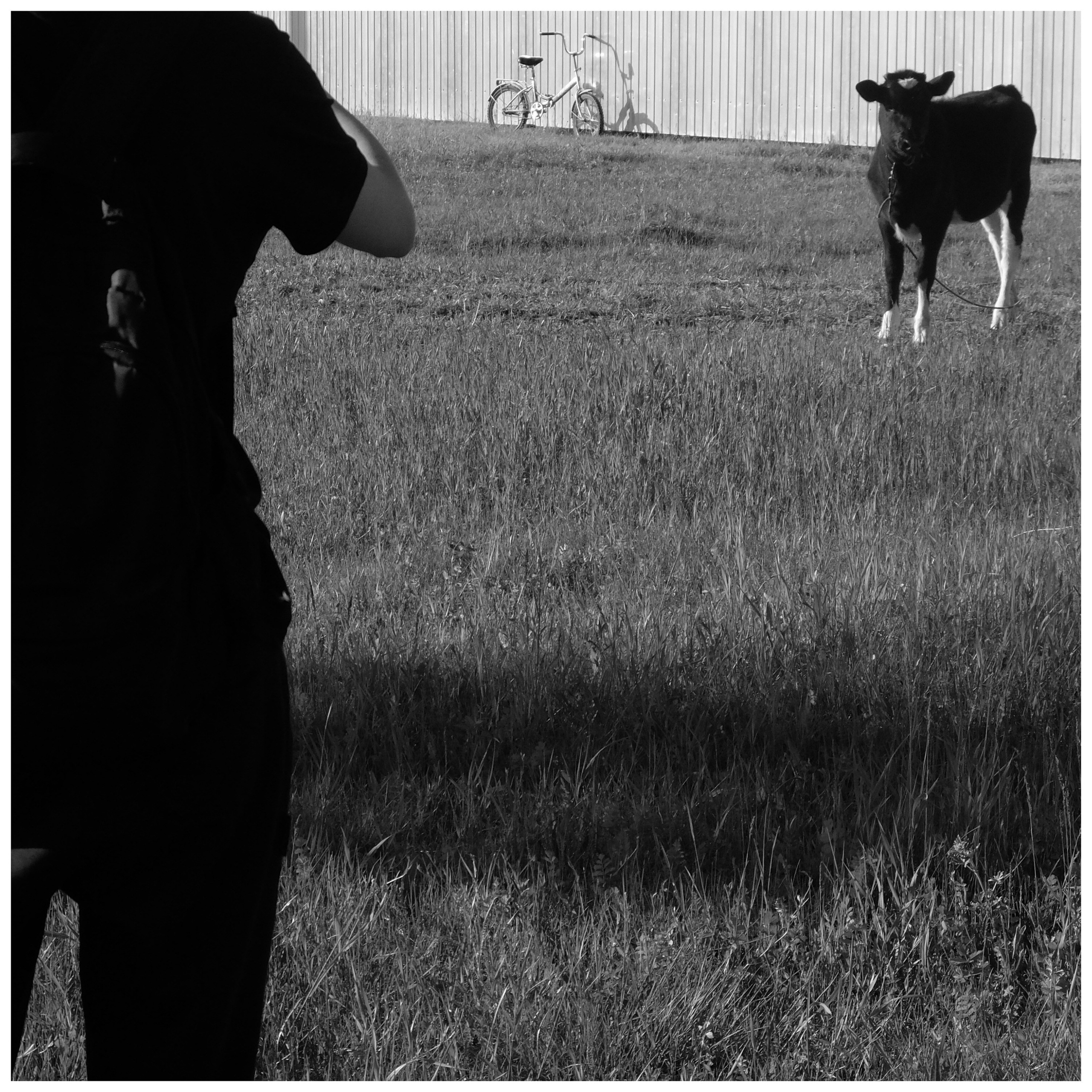 Промежуточные моменты (2022)