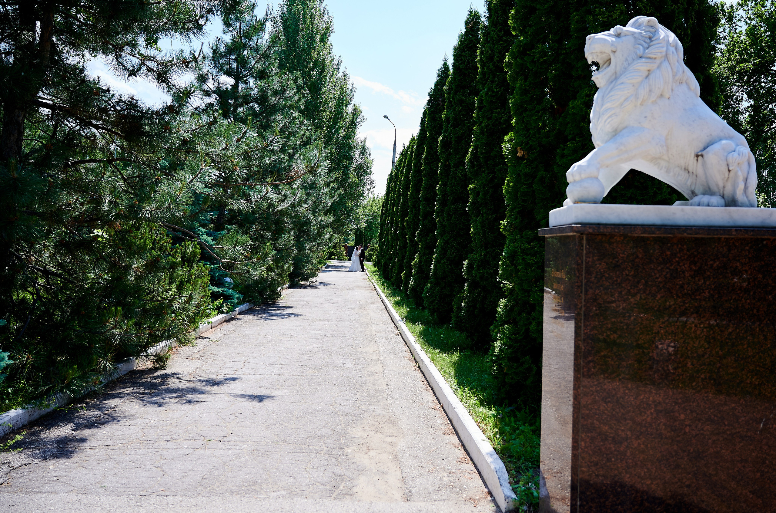 D&K. Профессиональный репортажный фотограф в Самаре Никита Королев