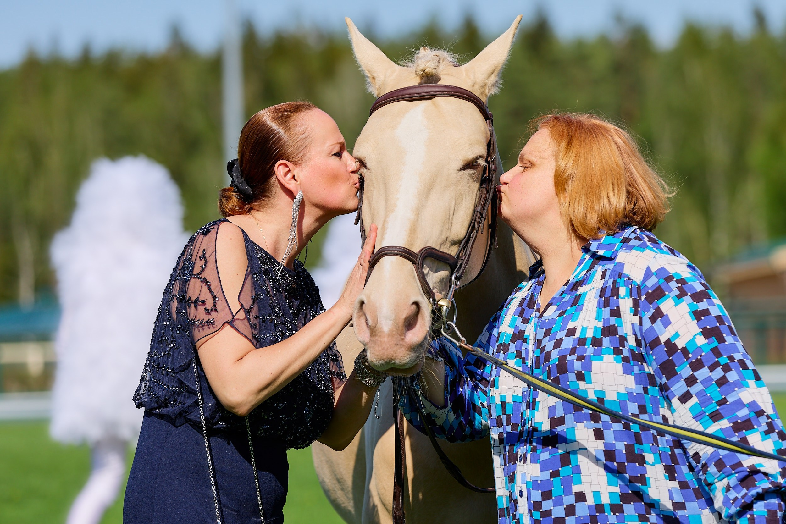 Алексей Соколов. Фотограф. Санкт-Петербург