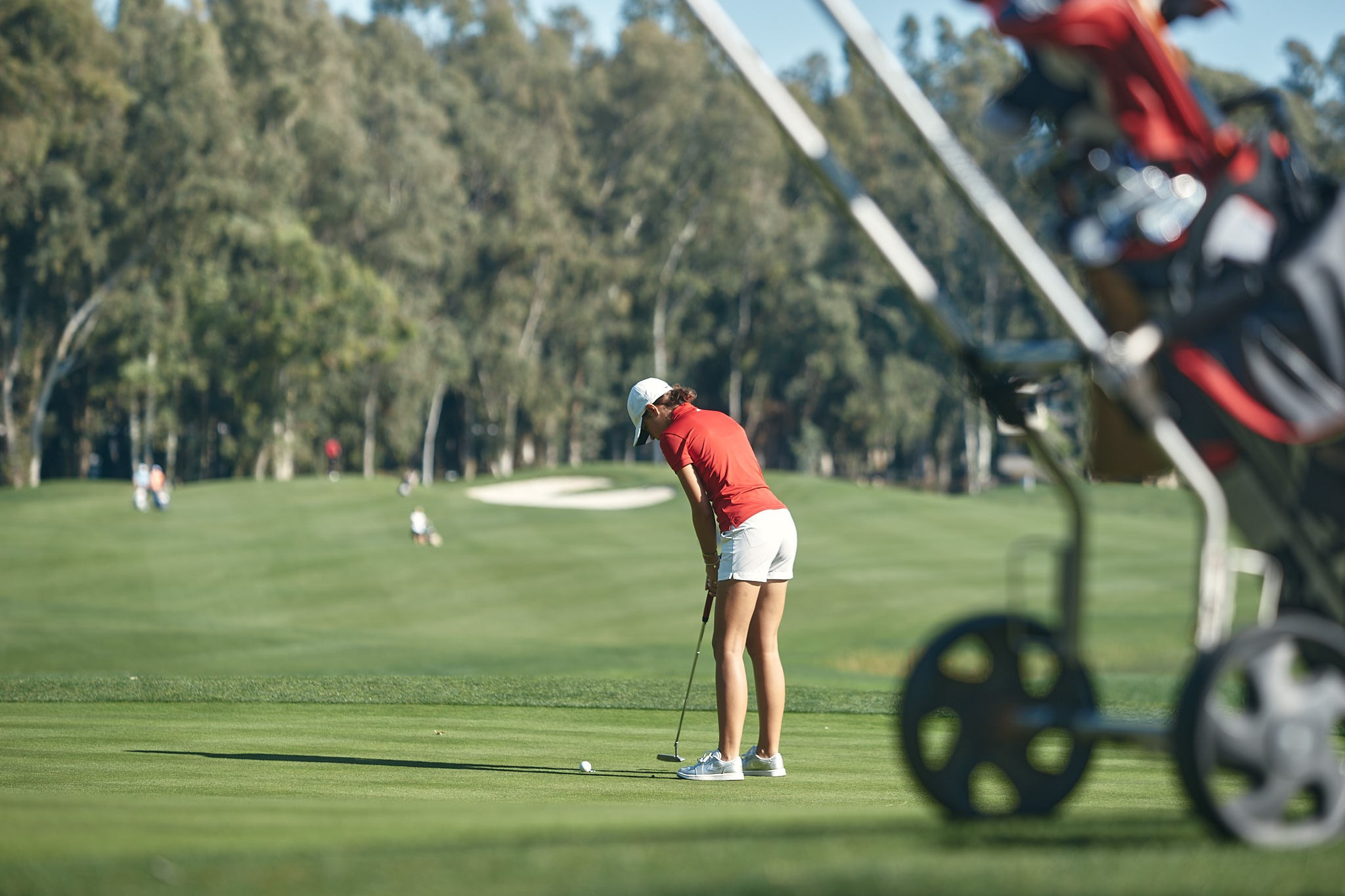 Turkey 2024. Академия гольфа NSU в Москве. Тренировки по гольфу для детей и взрослых, тренировки для новичков