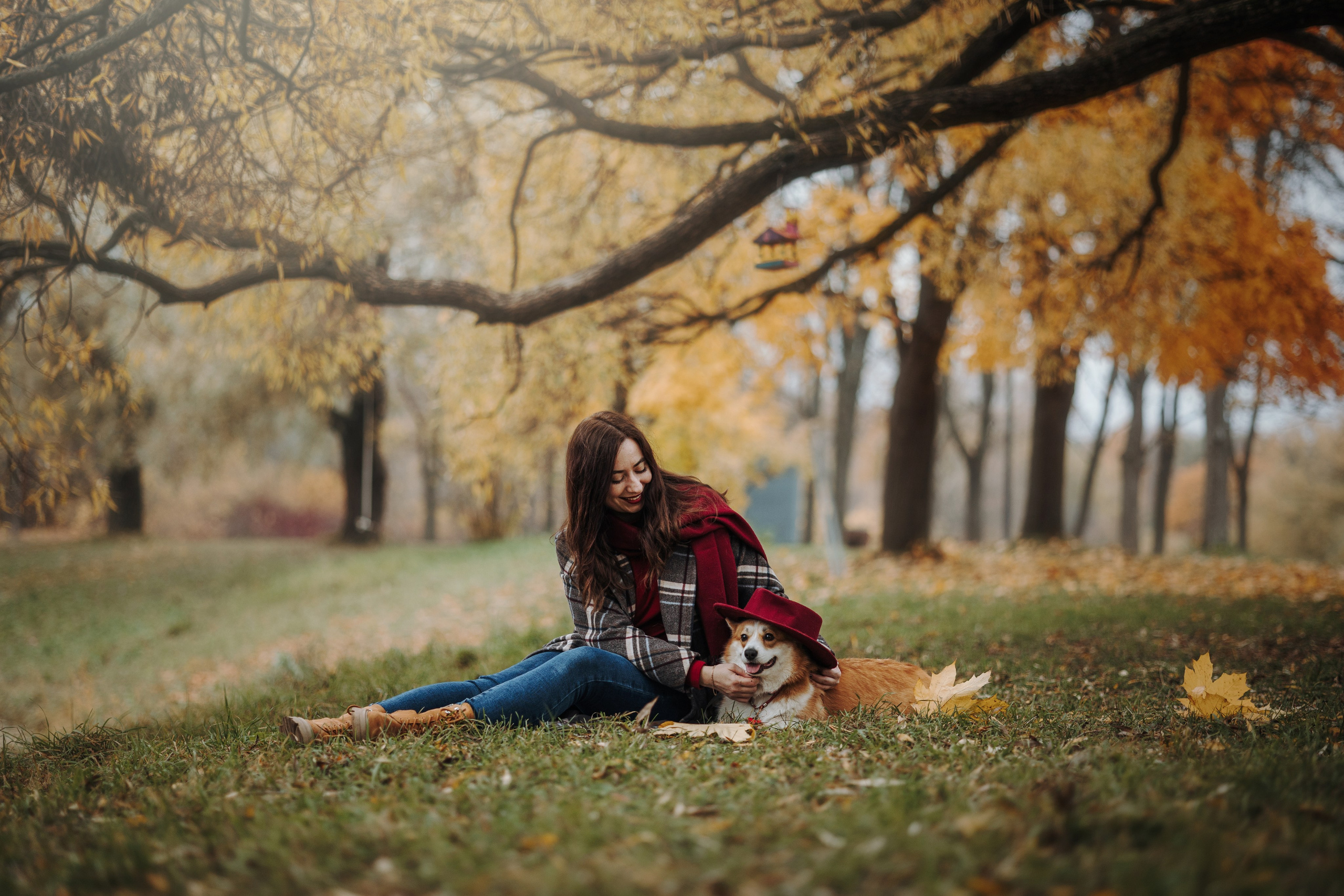 Юля и Терри. Фотограф — Анималист | Санкт-Петербург