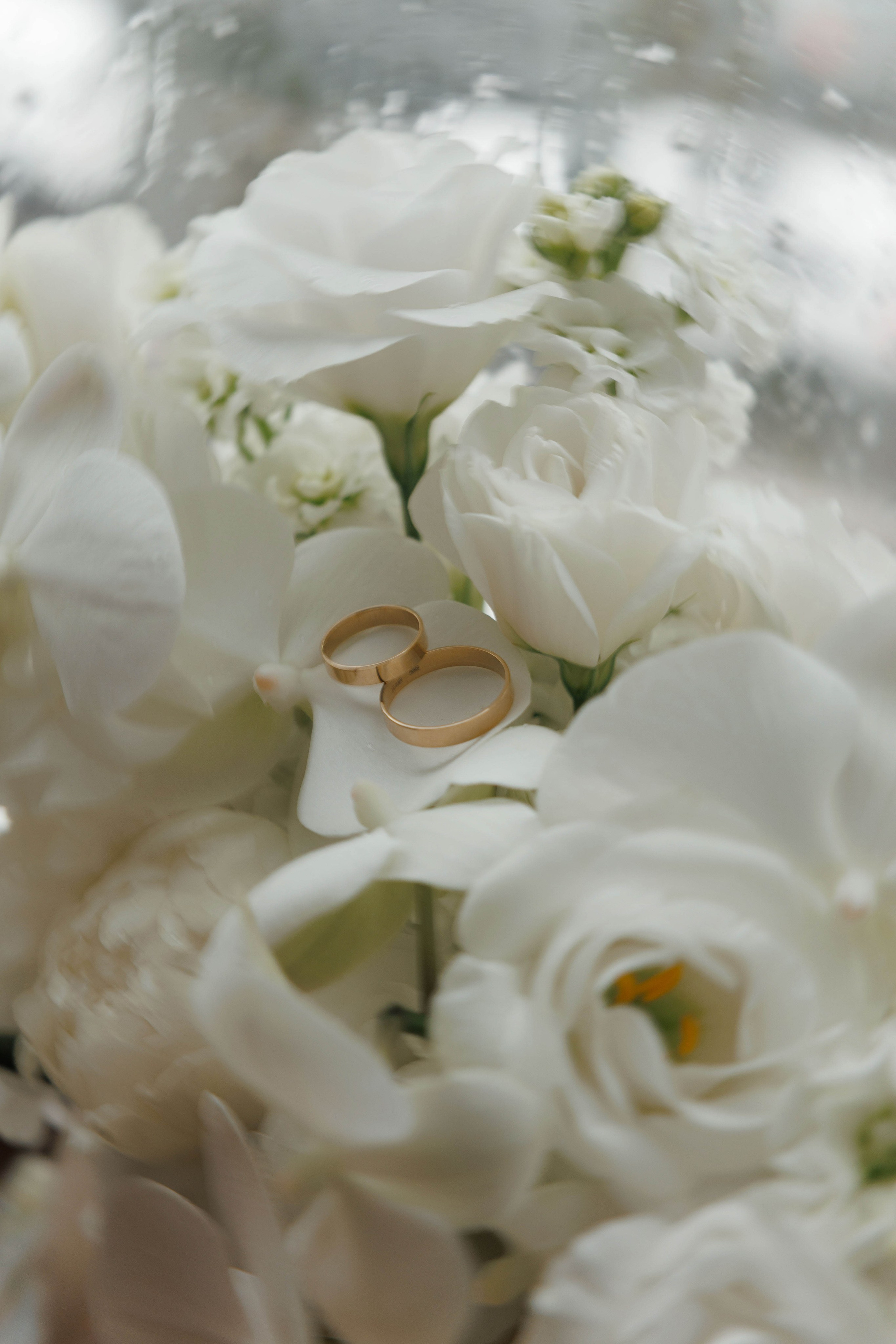 Лиза и Данил. Главная