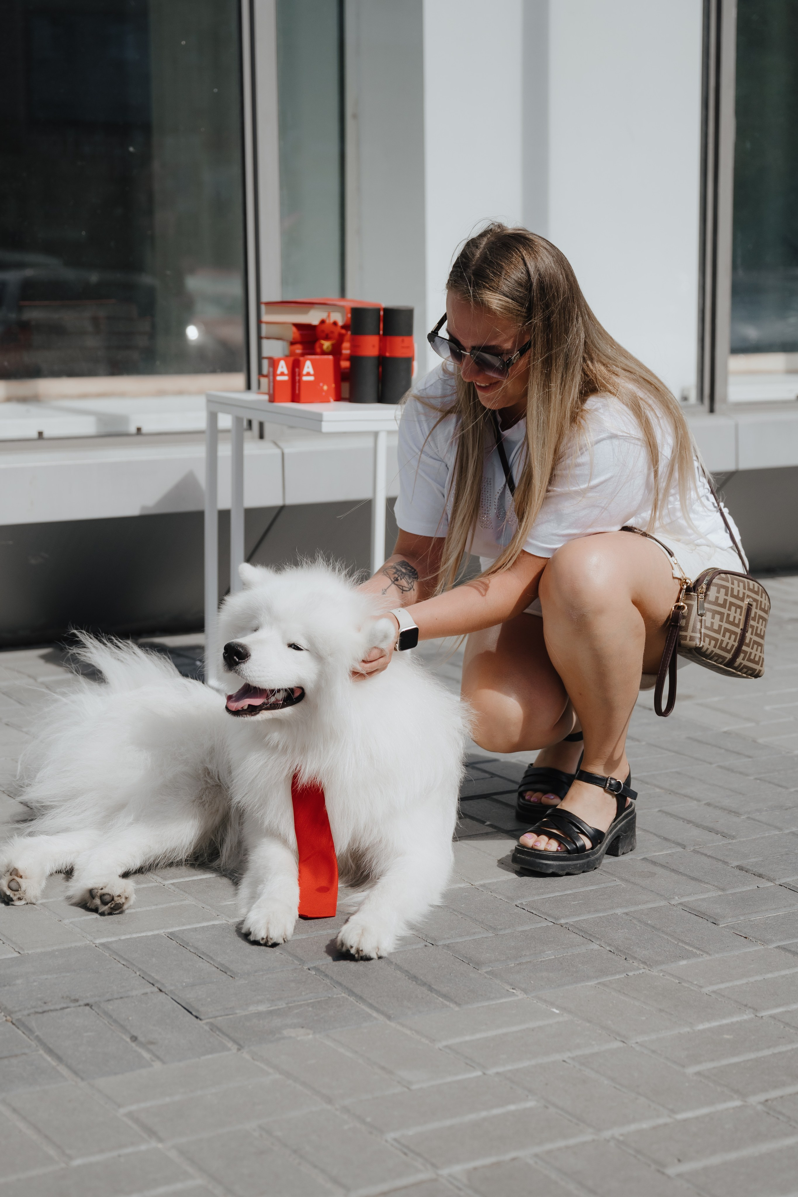 Альфа банк Карла Маркса 55. Фотограф Кристина Тумаева. Самоед Новосибирск
