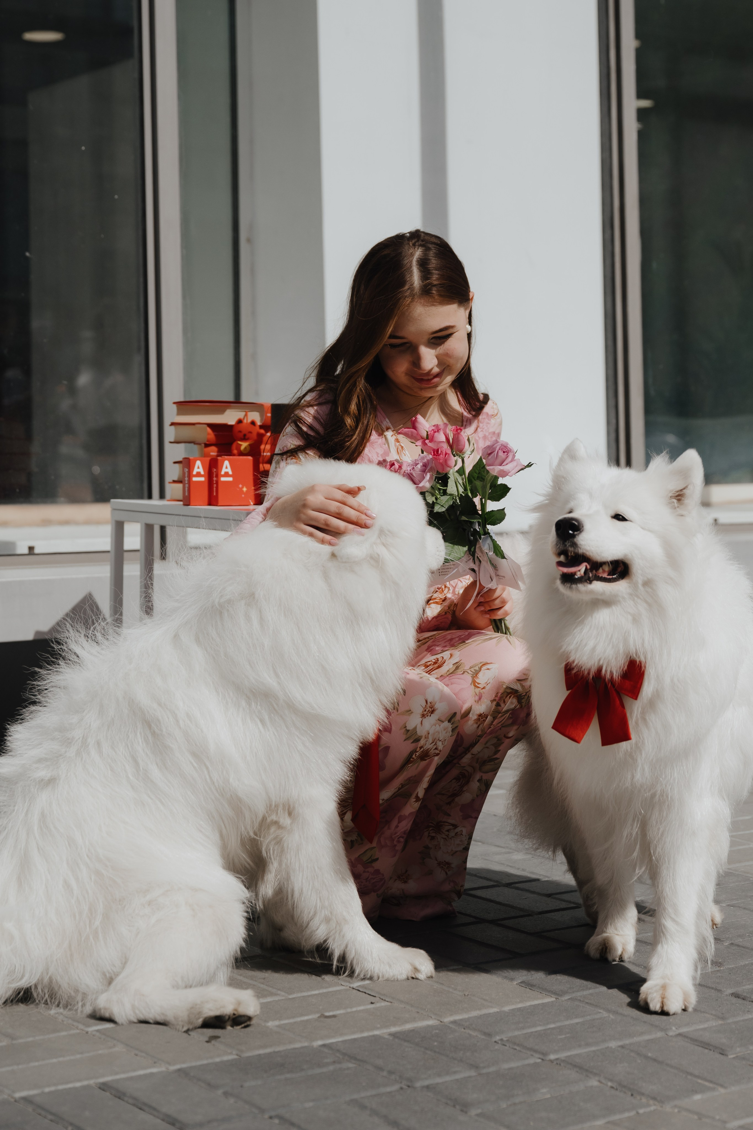 Альфа банк Карла Маркса 55. Фотограф Кристина Тумаева. Самоед Новосибирск