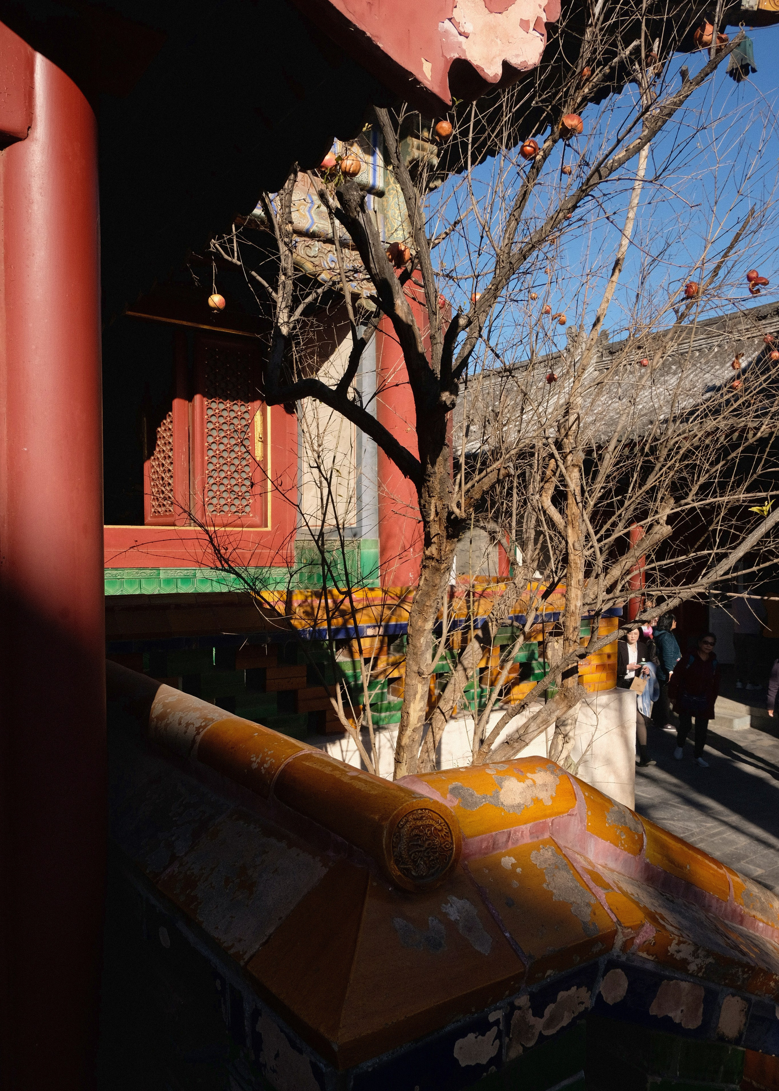 Beijing China. Интерьерный архитектурный фотограф | interior architectural photographer