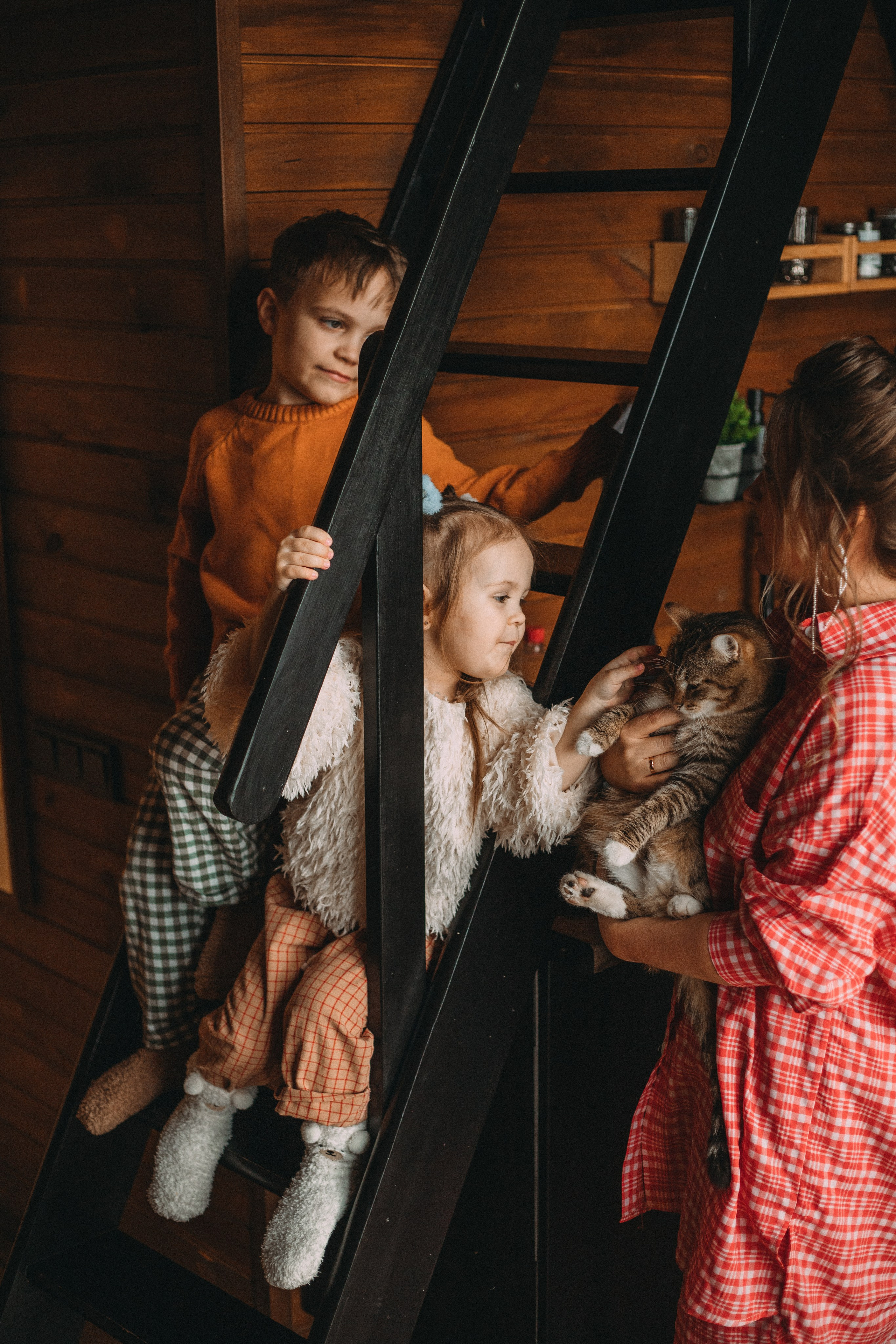 Треугольный домик. Главная