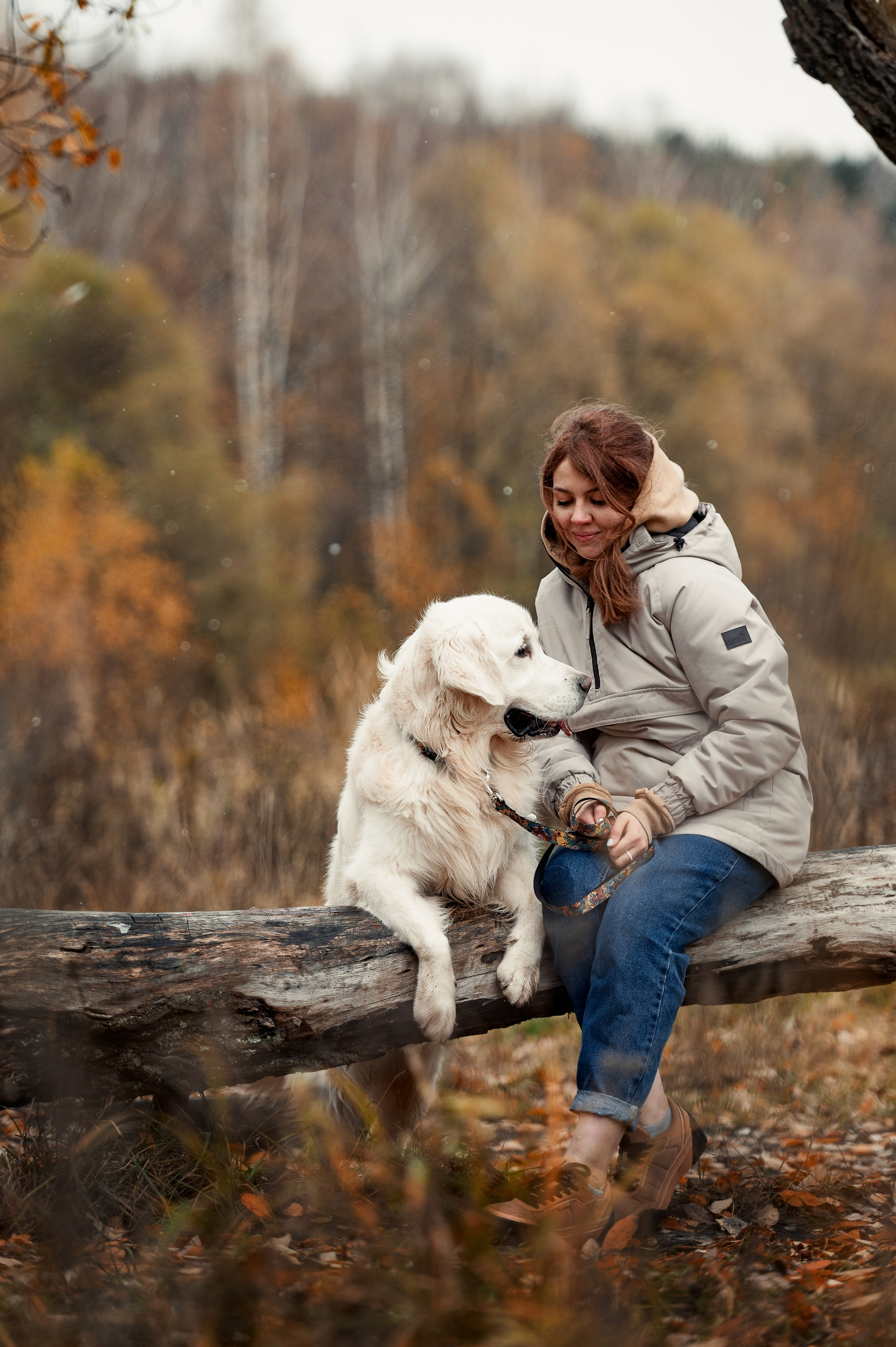 Айс и золотая осень. Фотограф-анималист