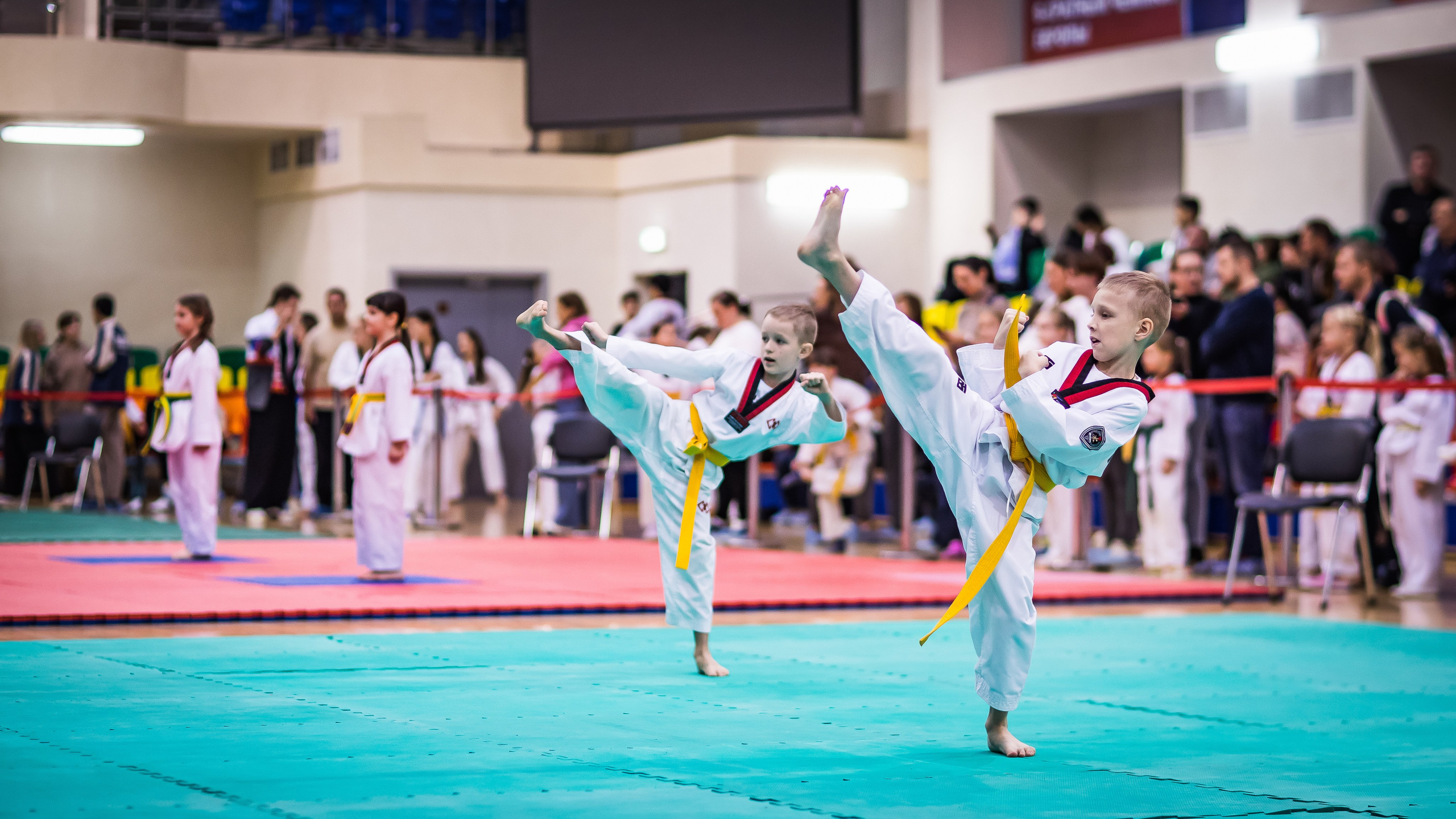 Турнир Федерации детского тхэквондо России по дисциплине ПХУМСЭ. Спортивный фотограф Максим Серегин