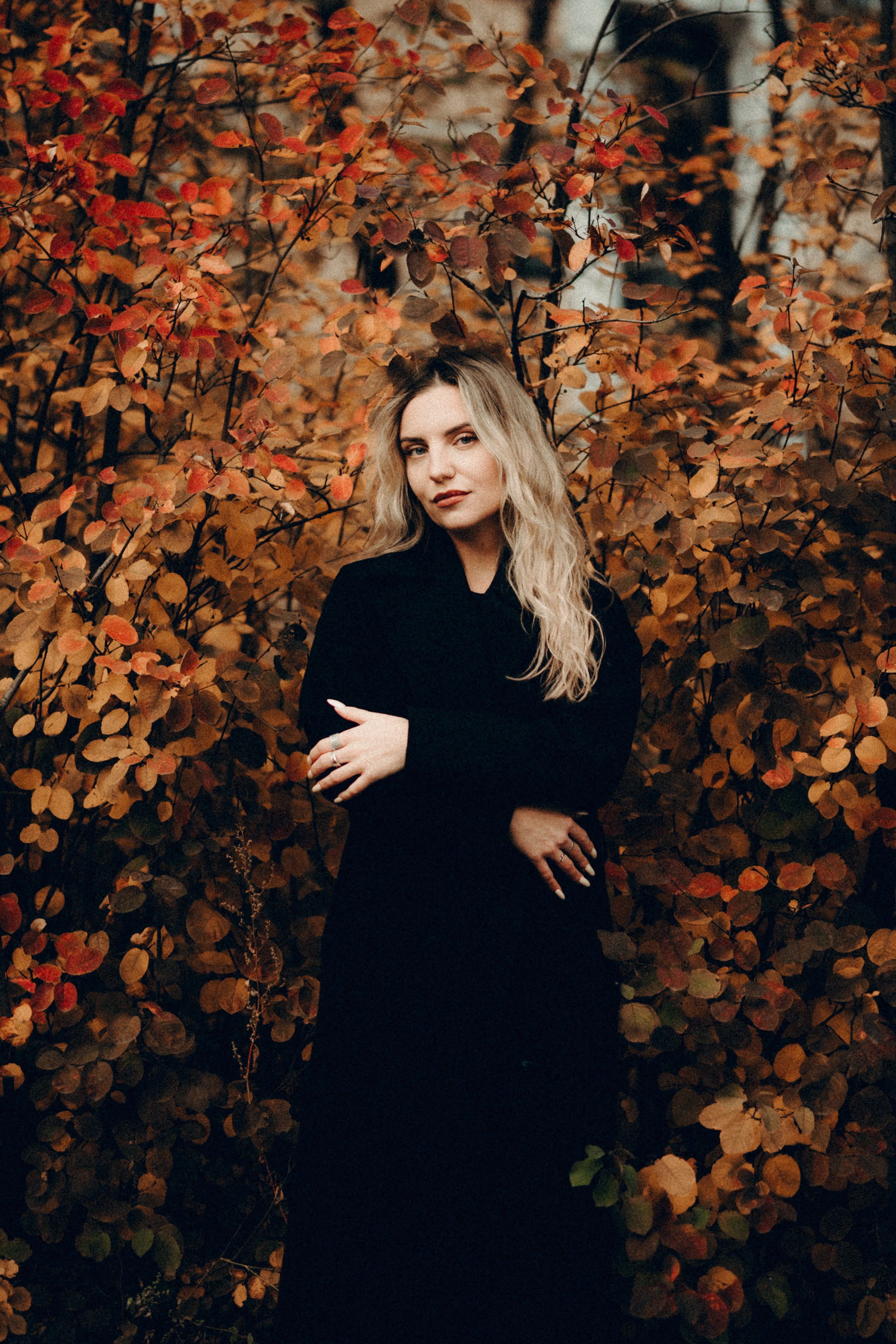 Осенний портрет, Октябрьское поле