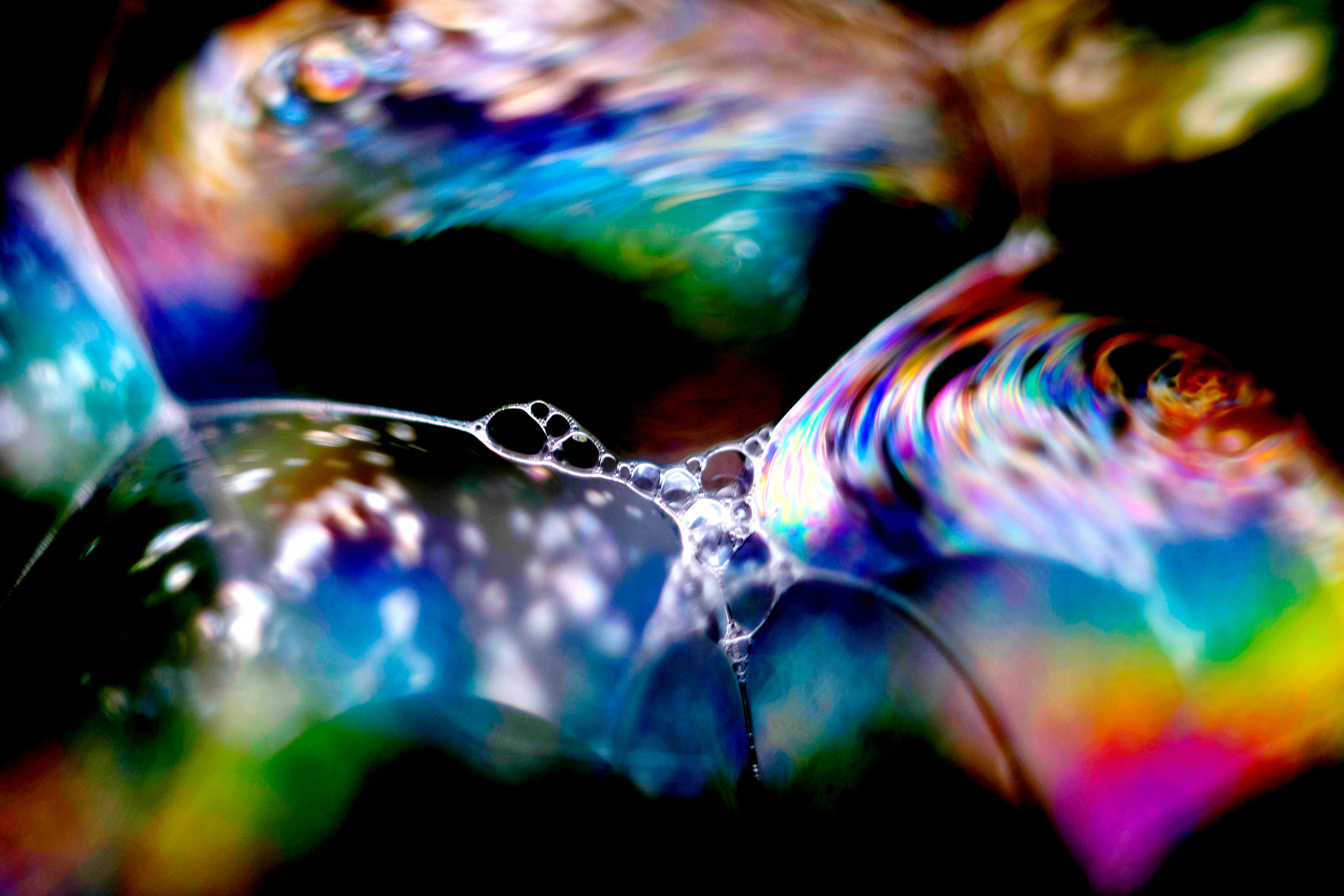 Макро. Фотограф Лагутин Анатолий