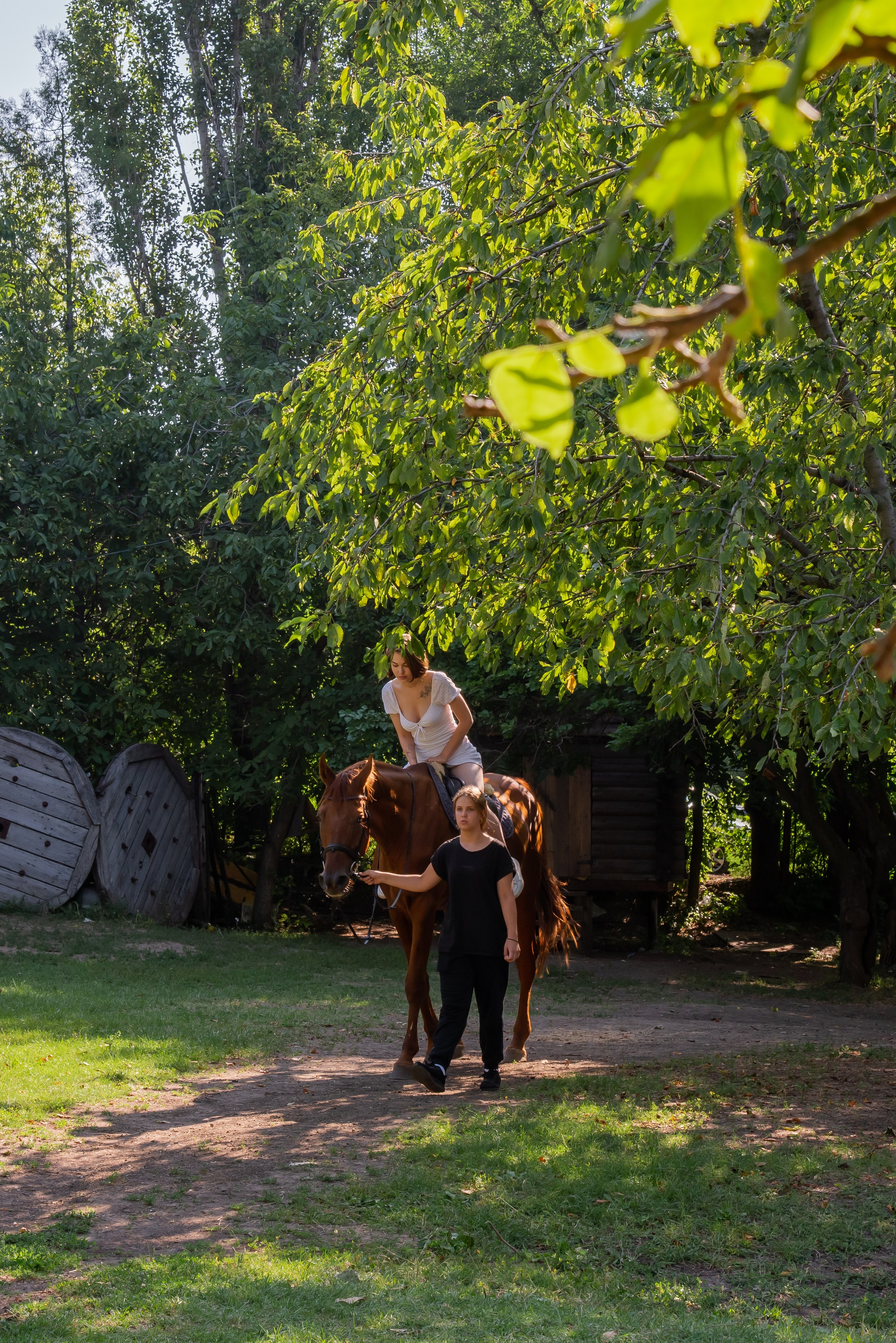 Конная прогулка. Фотограф Галина Нестерова