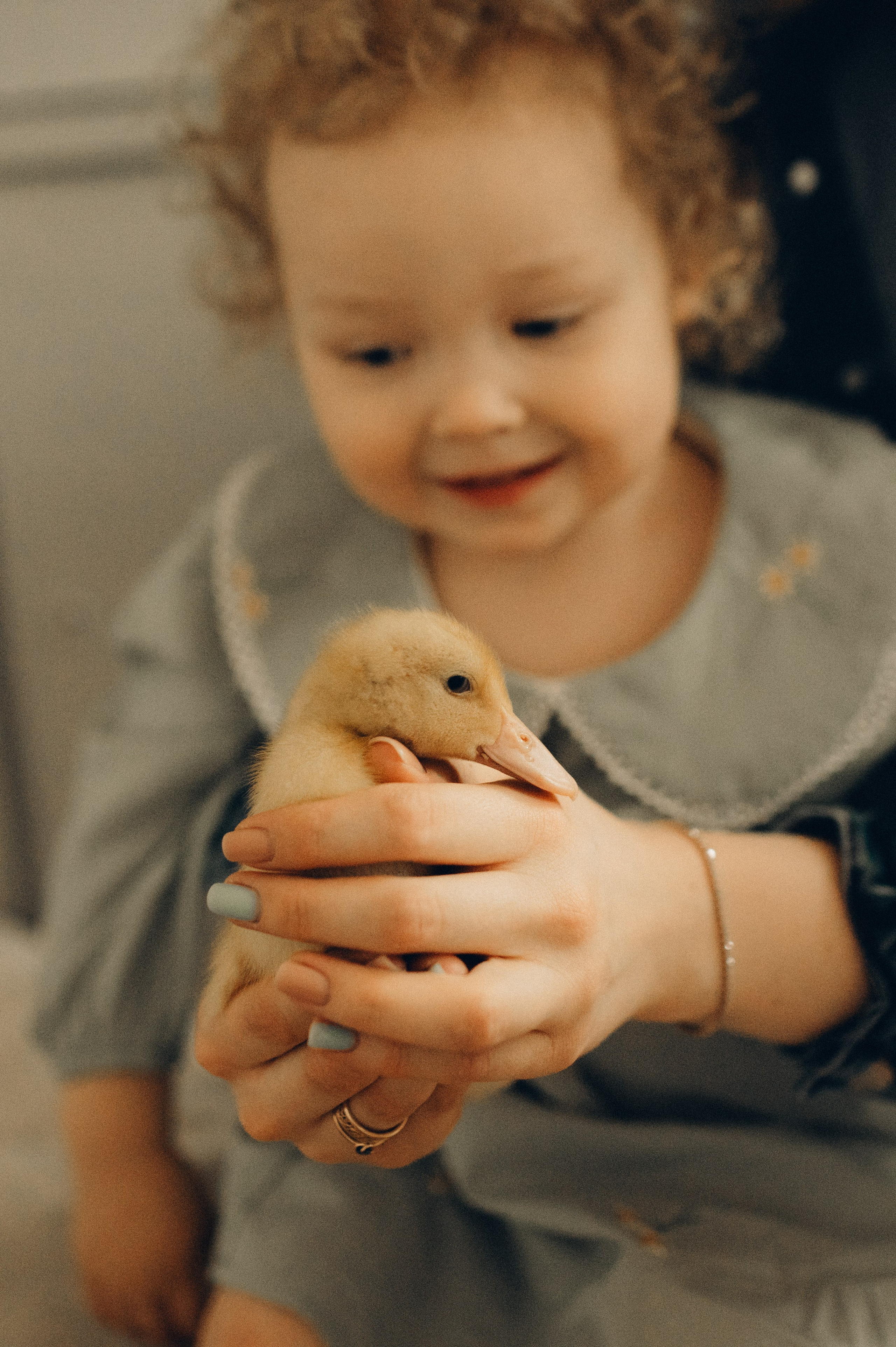 Весна в ладошках. Семейный фотограф в Москве Екатерина Денисенко | Фотосессии без постановки дома и в студии