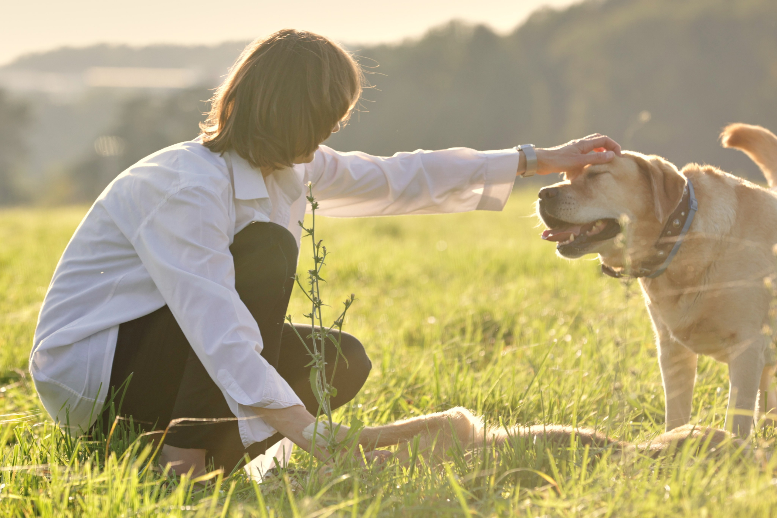 девушка гладит собаку