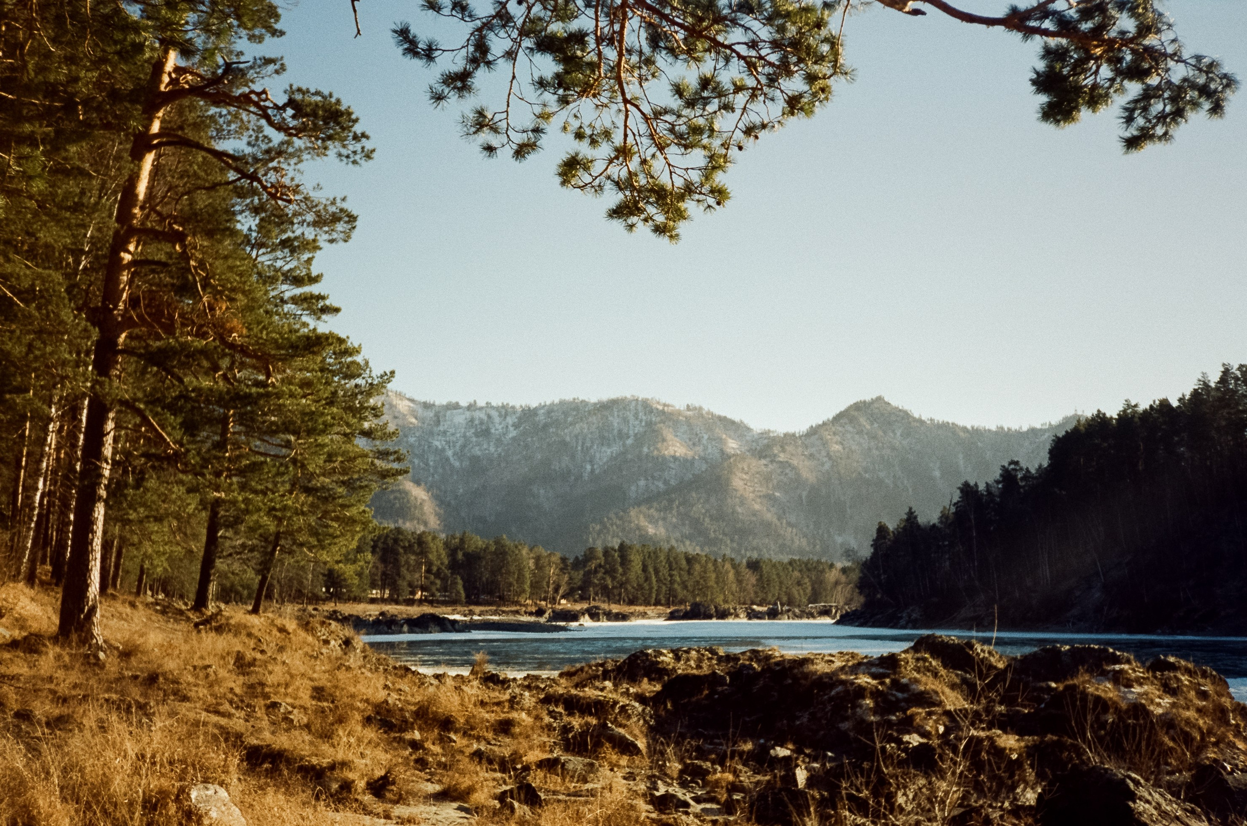 Зимний Coffee Bus в «летнем» лесу. Чемал. Фотограф-документалист Мария Осокина