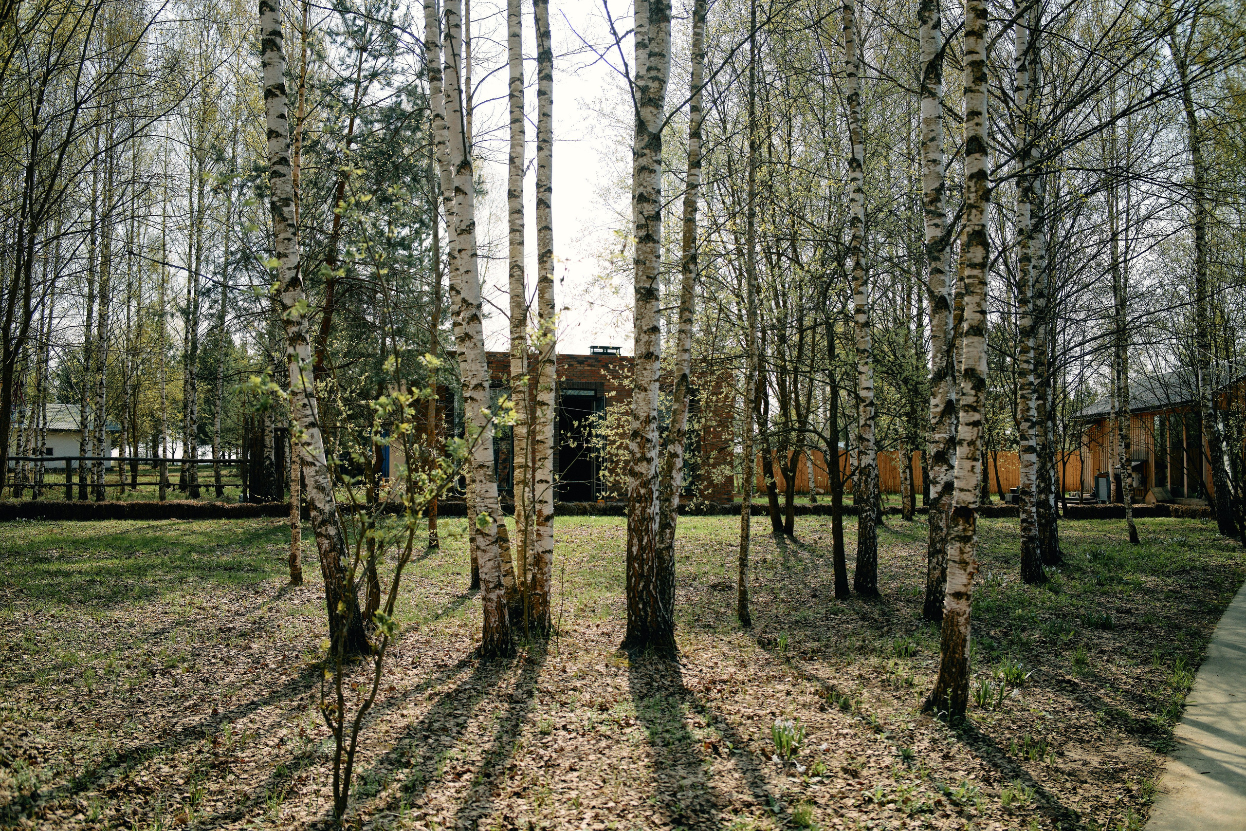 Бутик-отель Поле летом. Профессиональный Фотограф во Владимире, в Москве и в Суздале — Полина Романычева