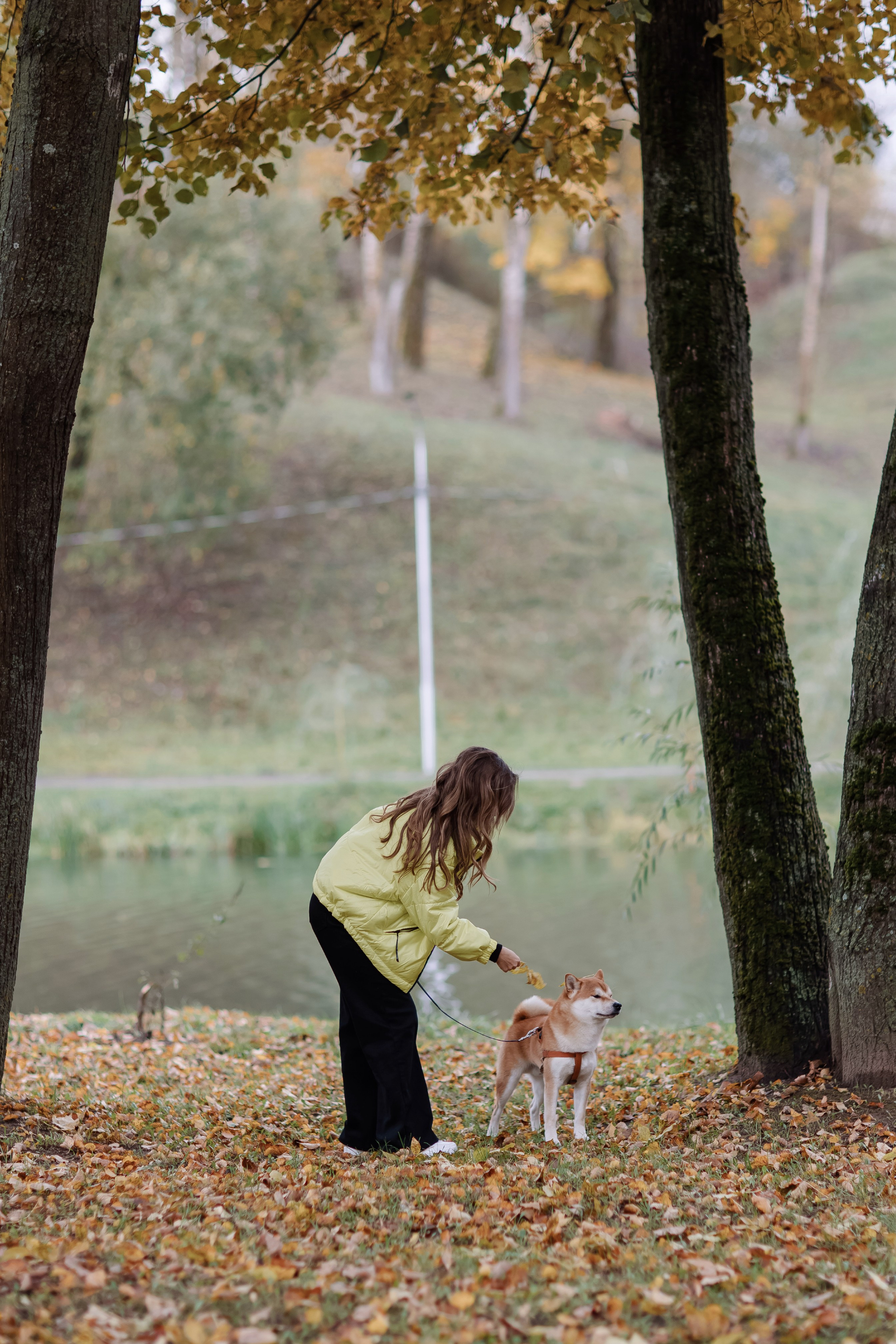 Юлия. Свадебный фотограф