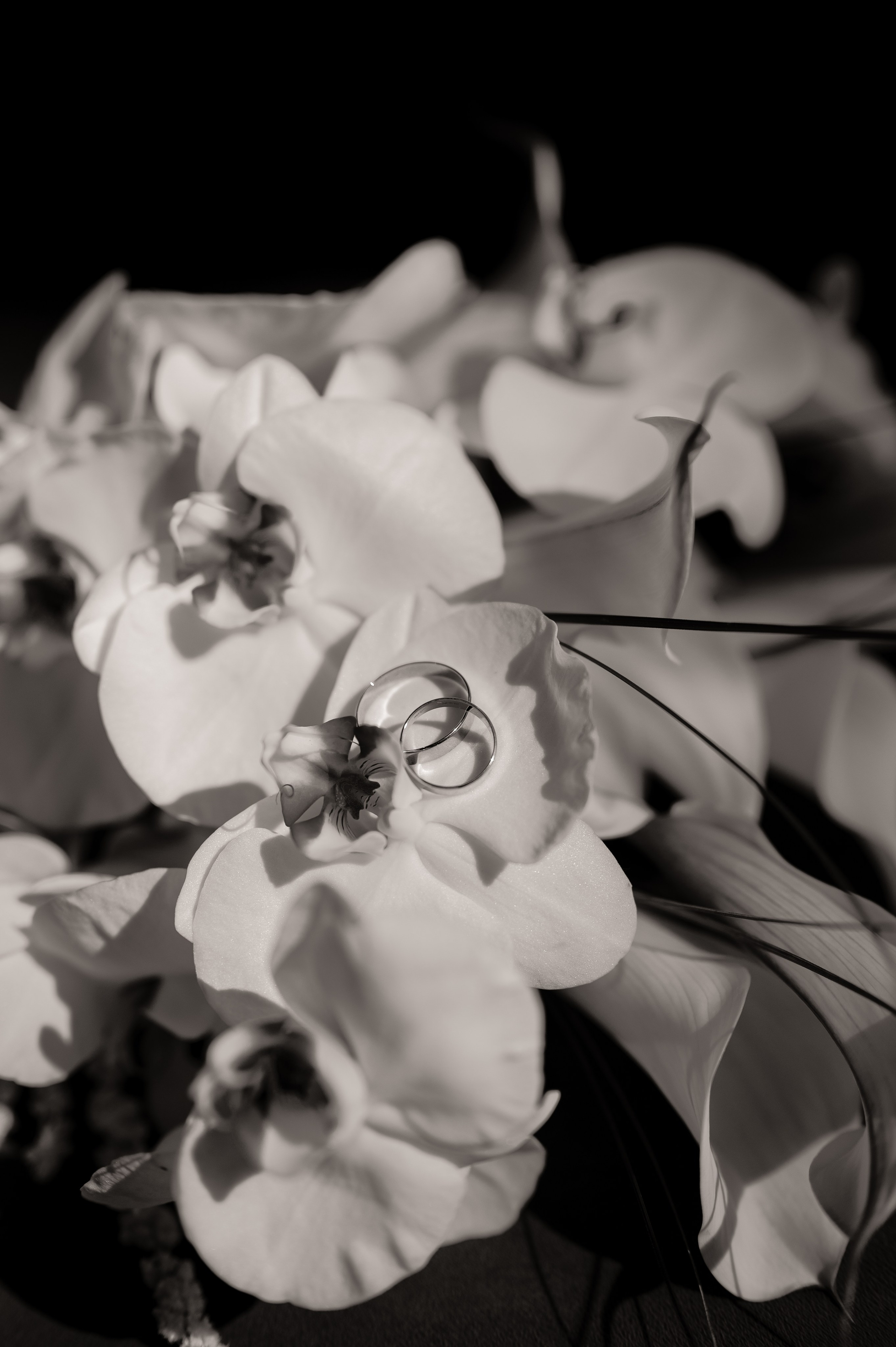 Генрих и Ксения. Свадебный и семейный фотограф в Краснодаре Алина Мельник