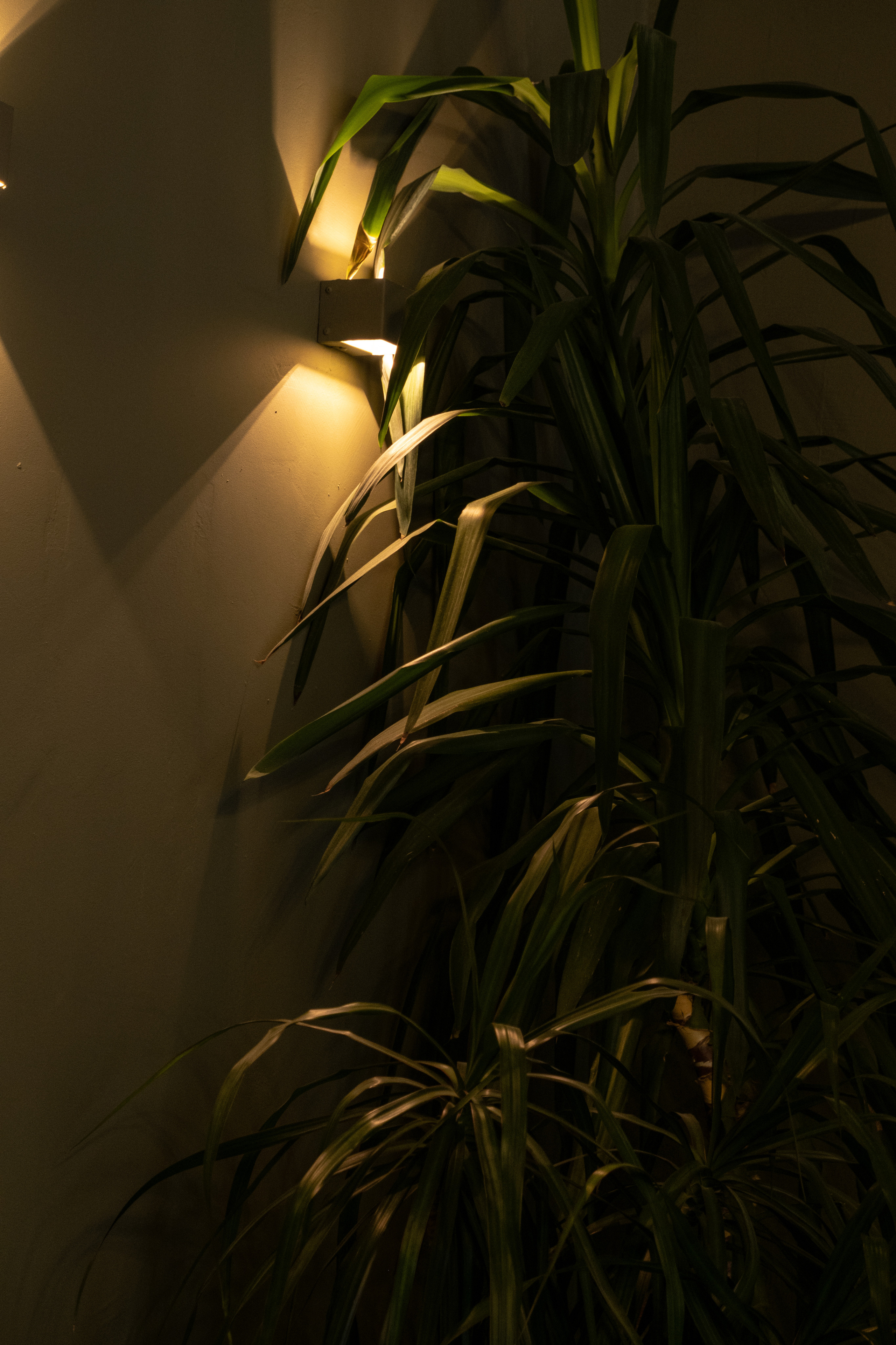 M&D. Фотограф Димитровград Казань Валерия Владимиркина